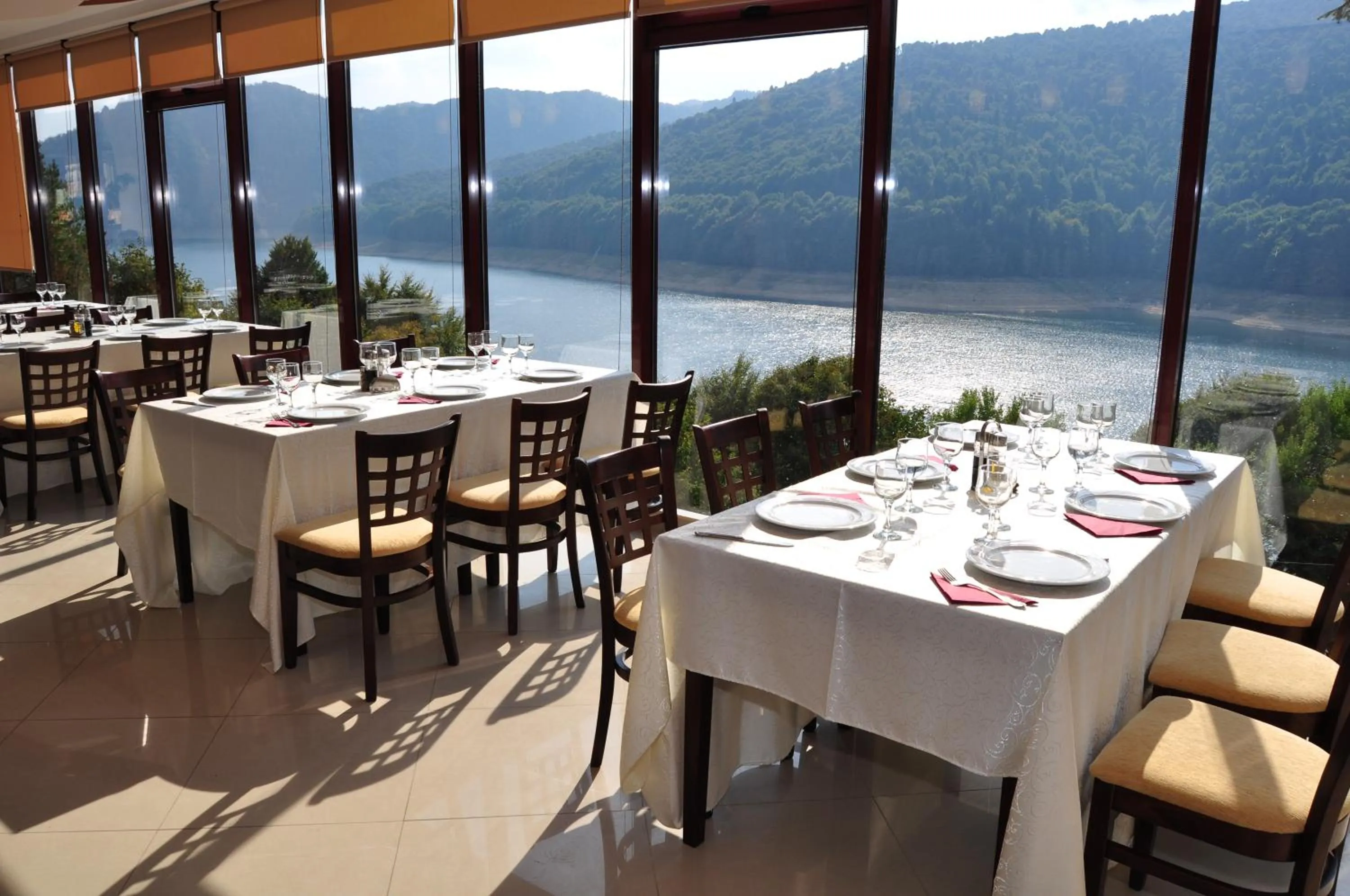 Restaurant/places to eat in Hotel Valea cu Pesti