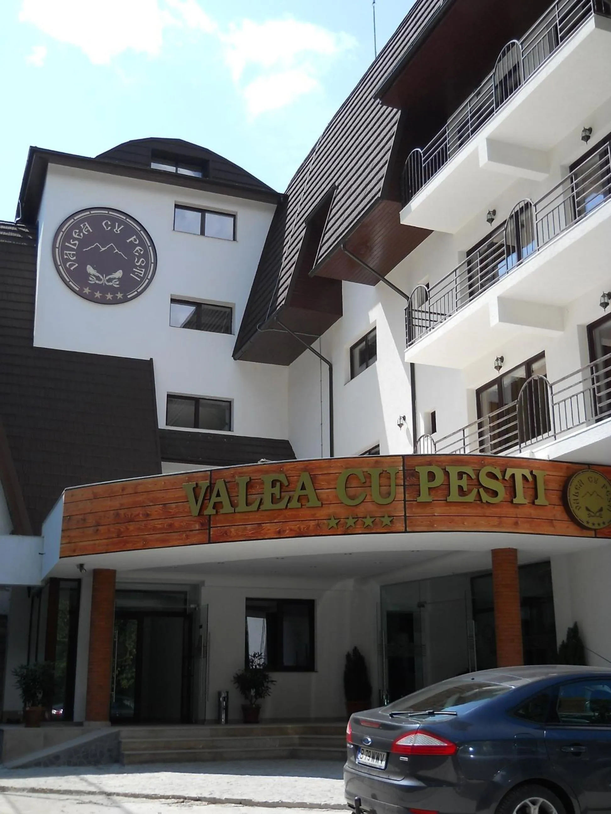 Property logo or sign in Hotel Valea cu Pesti