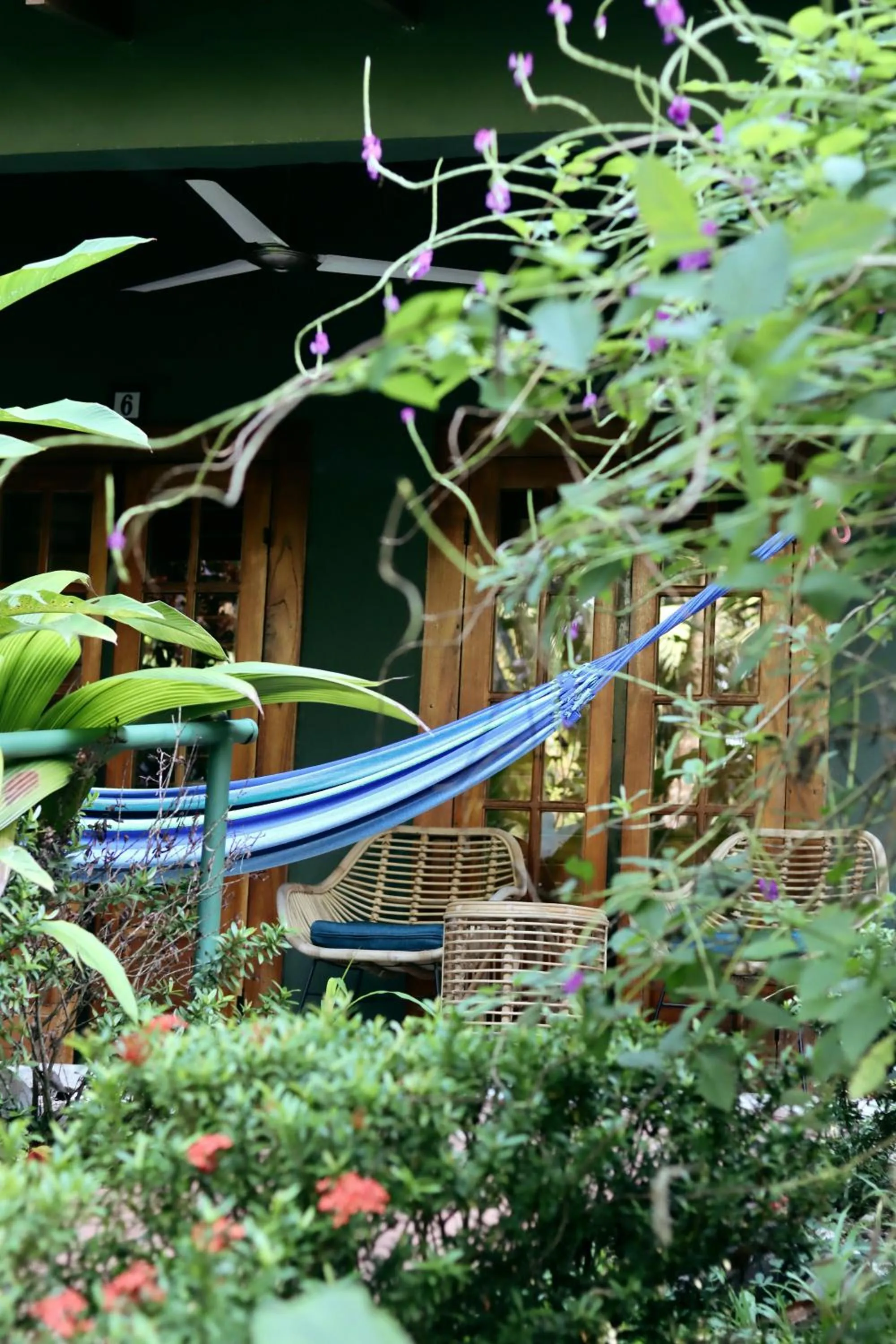 The Falls at Manuel Antonio