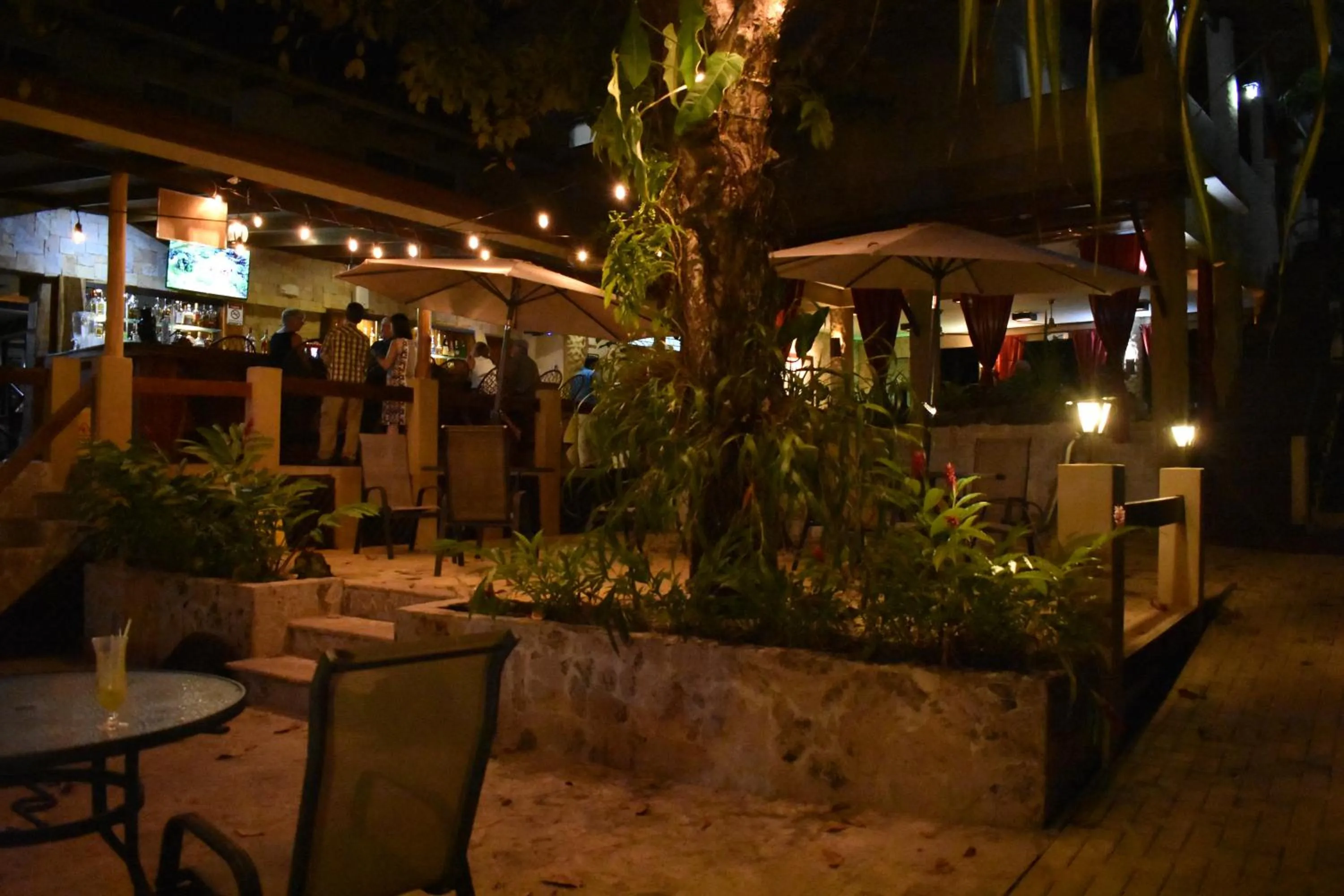 Drinks in The Falls at Manuel Antonio