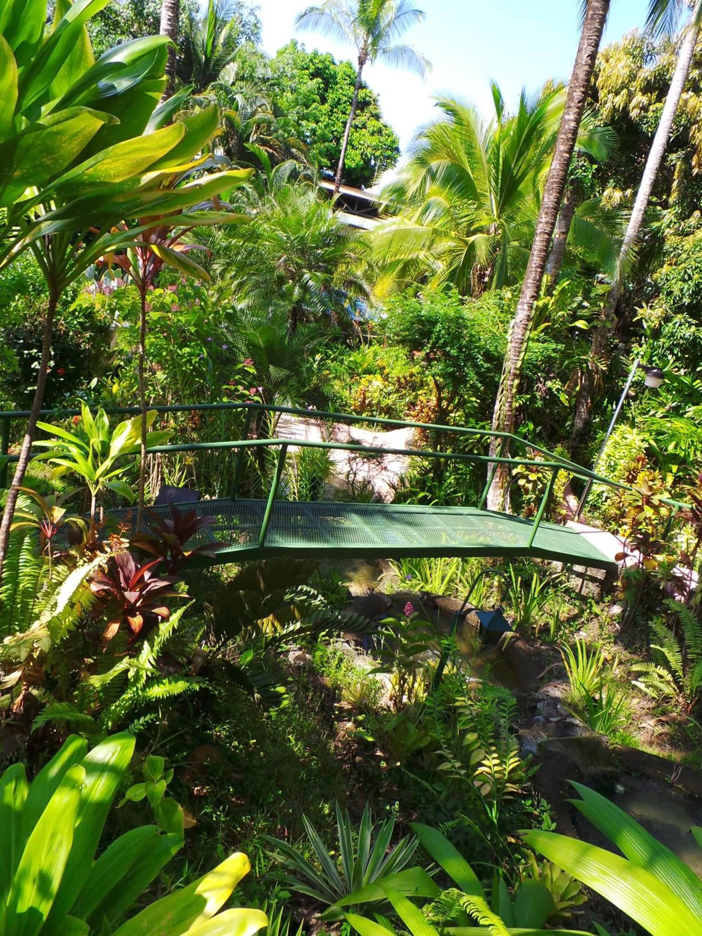 Garden in The Falls at Manuel Antonio