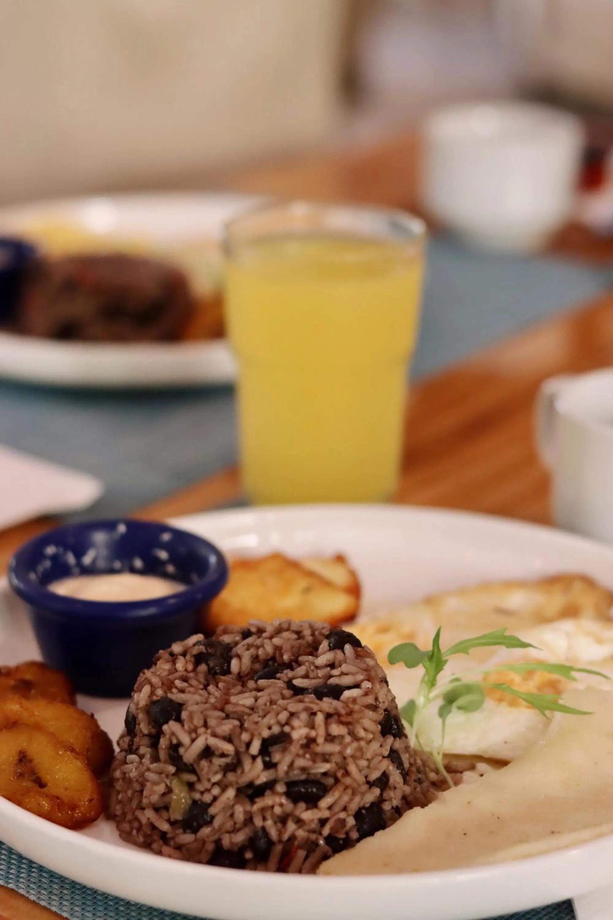 The Falls at Manuel Antonio