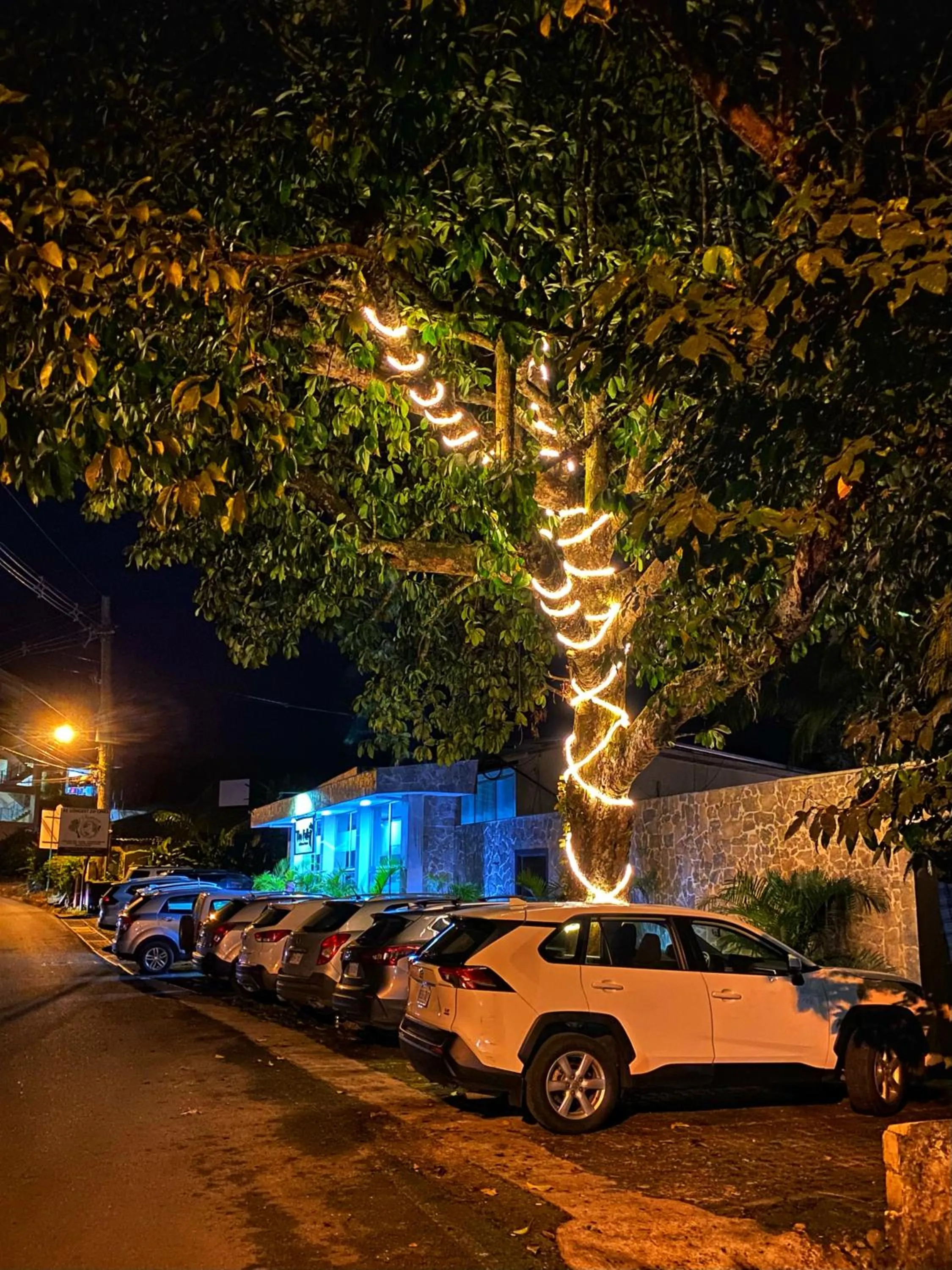 Street view in The Falls at Manuel Antonio