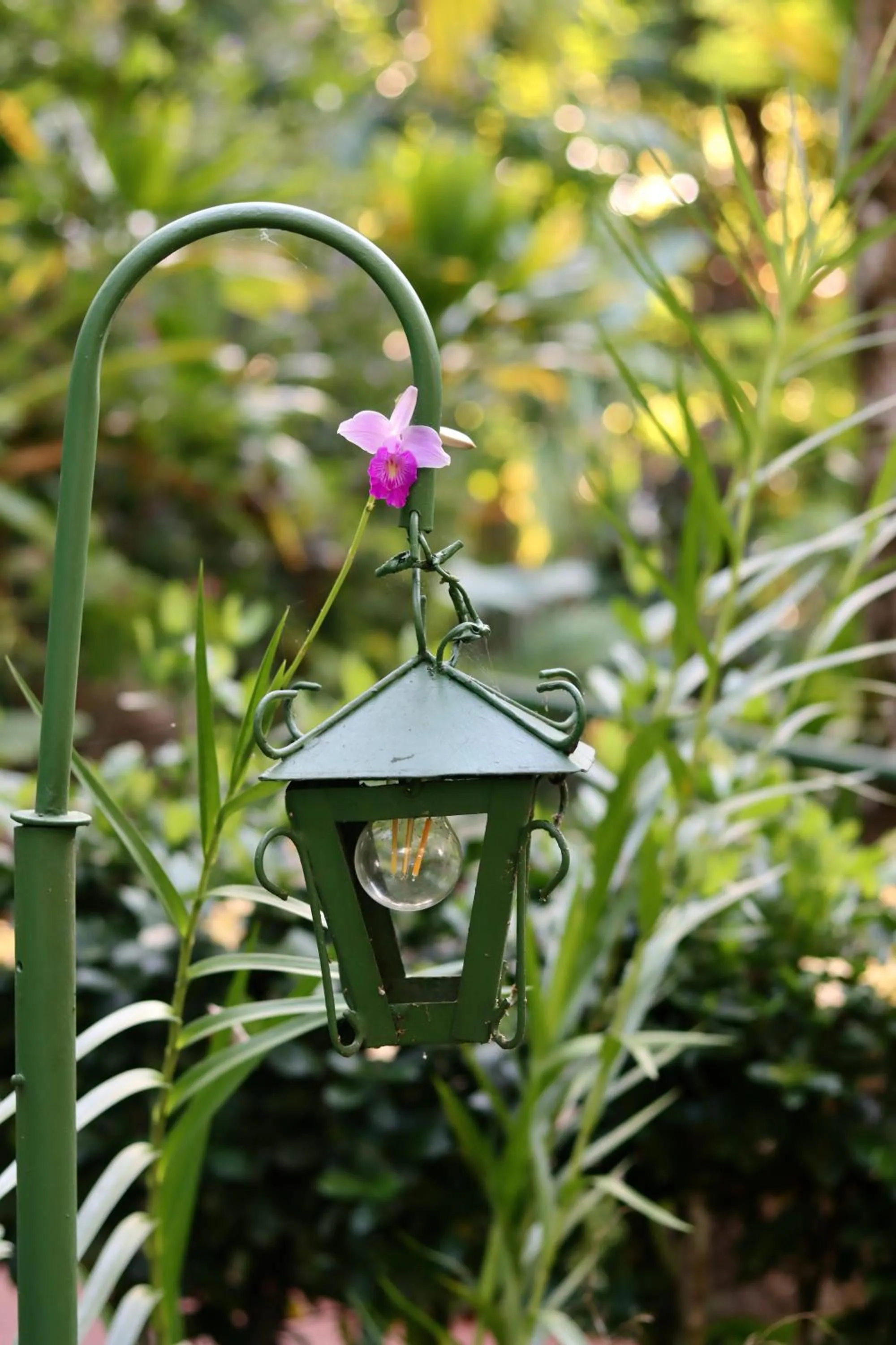 The Falls at Manuel Antonio