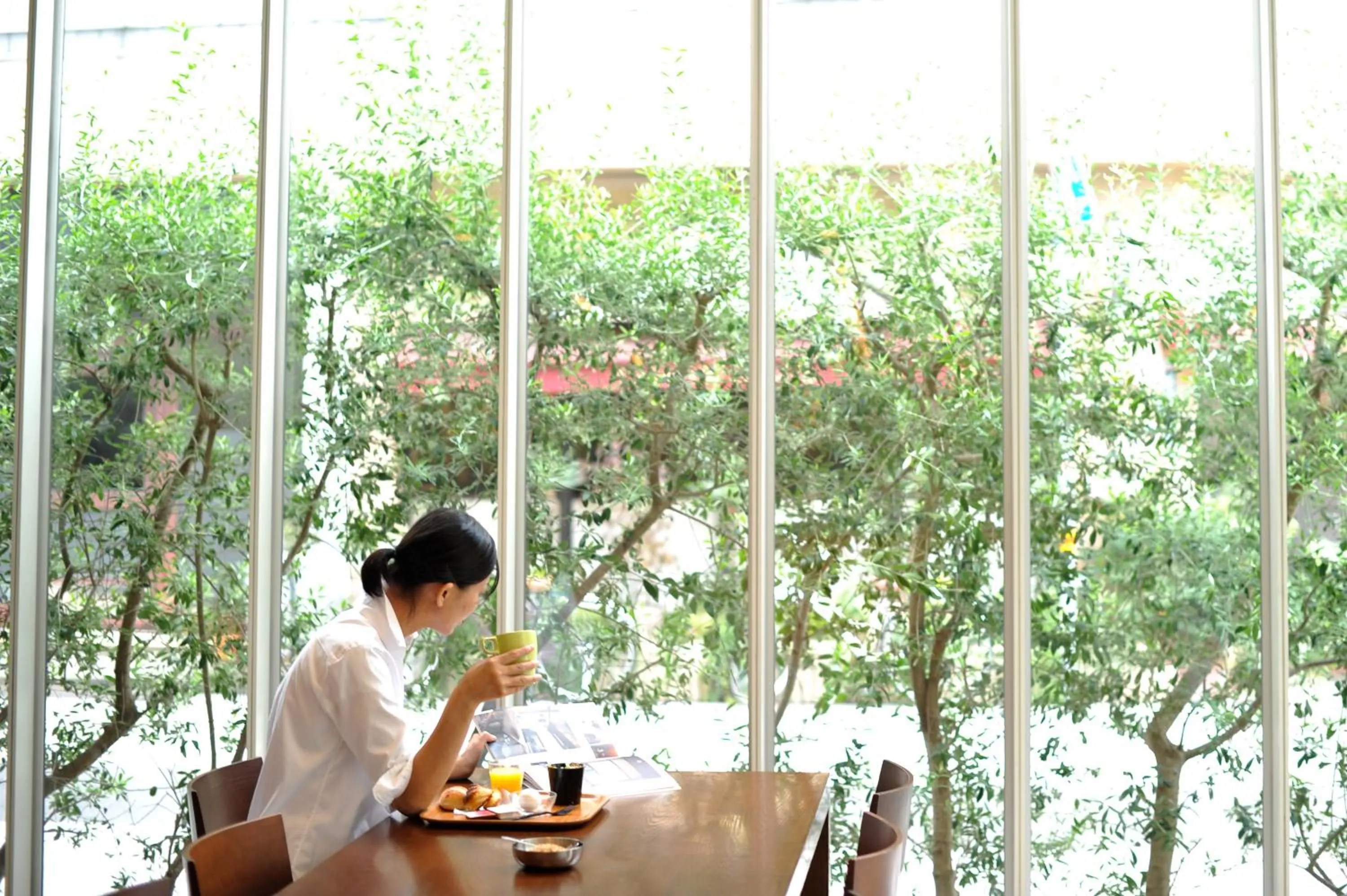 Day in 7 Days Hotel Plus