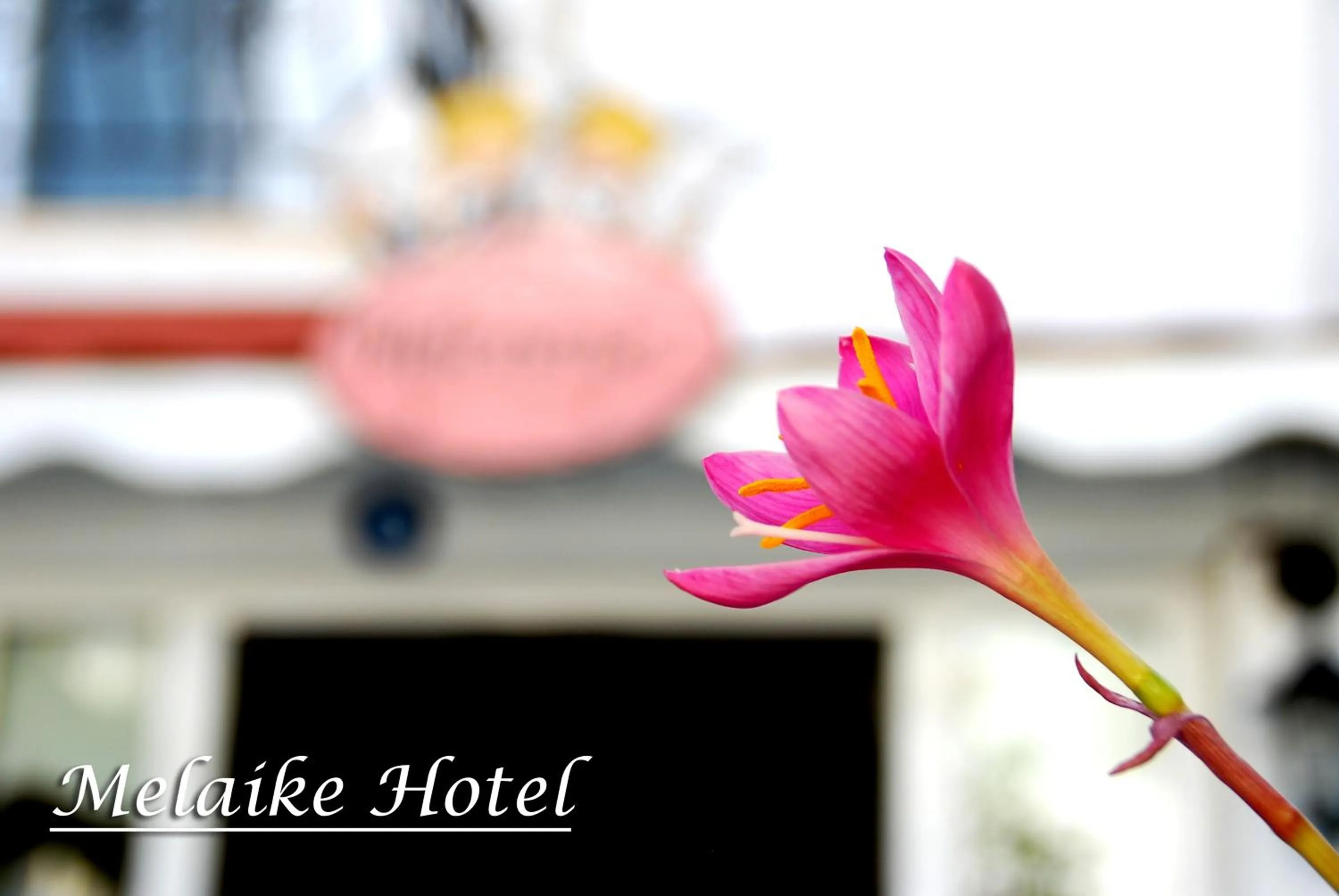 Text overlay in Melaike Hotel