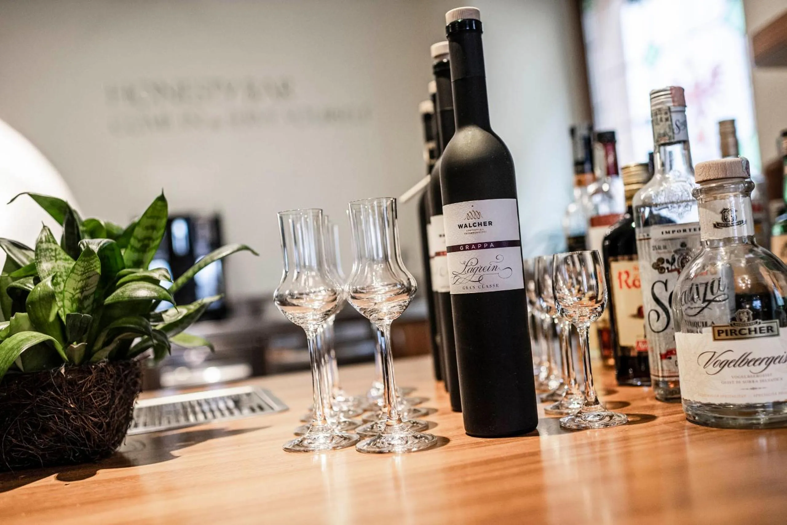 Lounge or bar in Hotel Cavallino D'Oro Bed&Breakfast