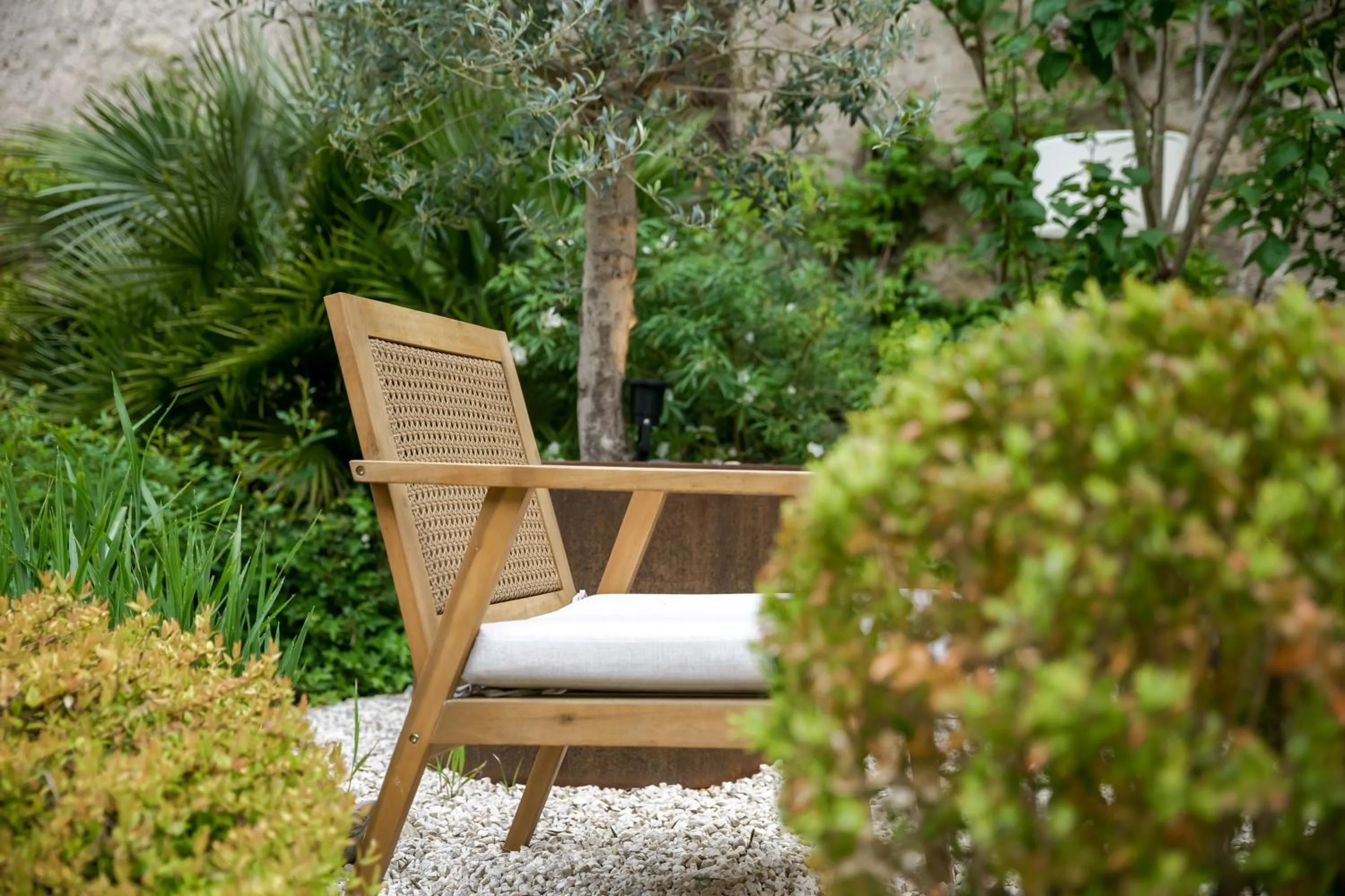Garden in Hôtel de Biencourt