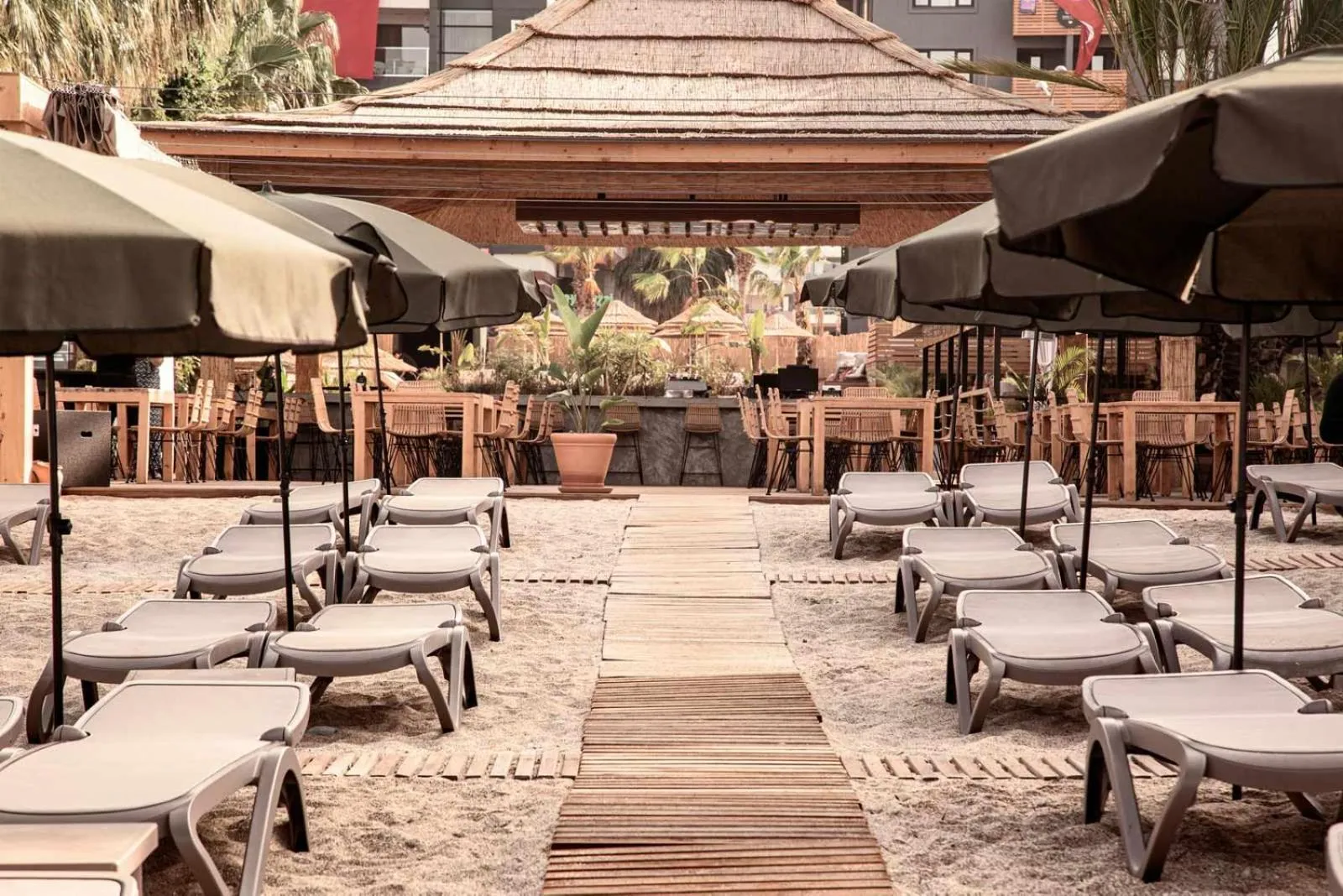 Beach in Cook's Club Alanya - Adult Only 12