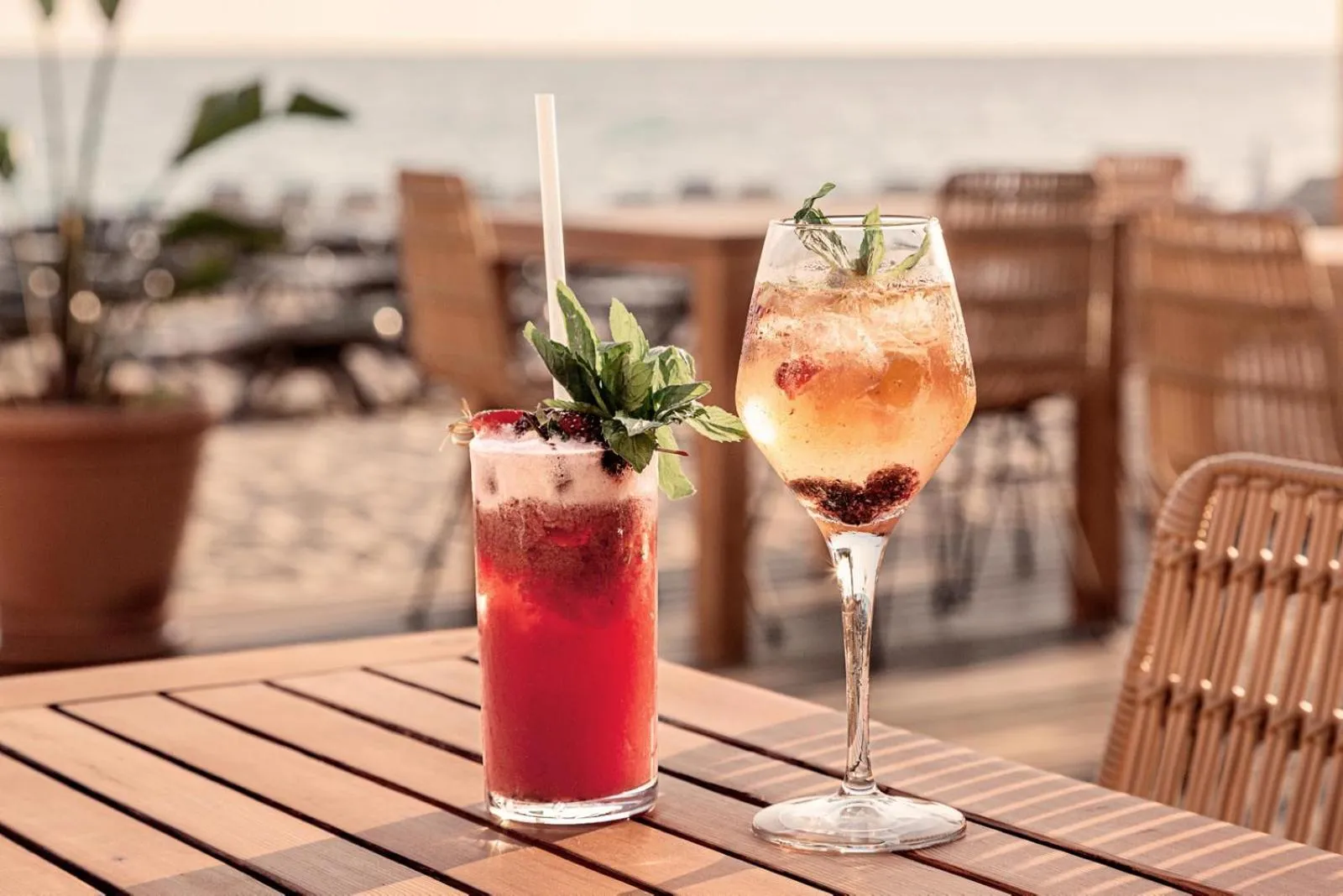 Drinks in Cook's Club Alanya - Adult Only 12