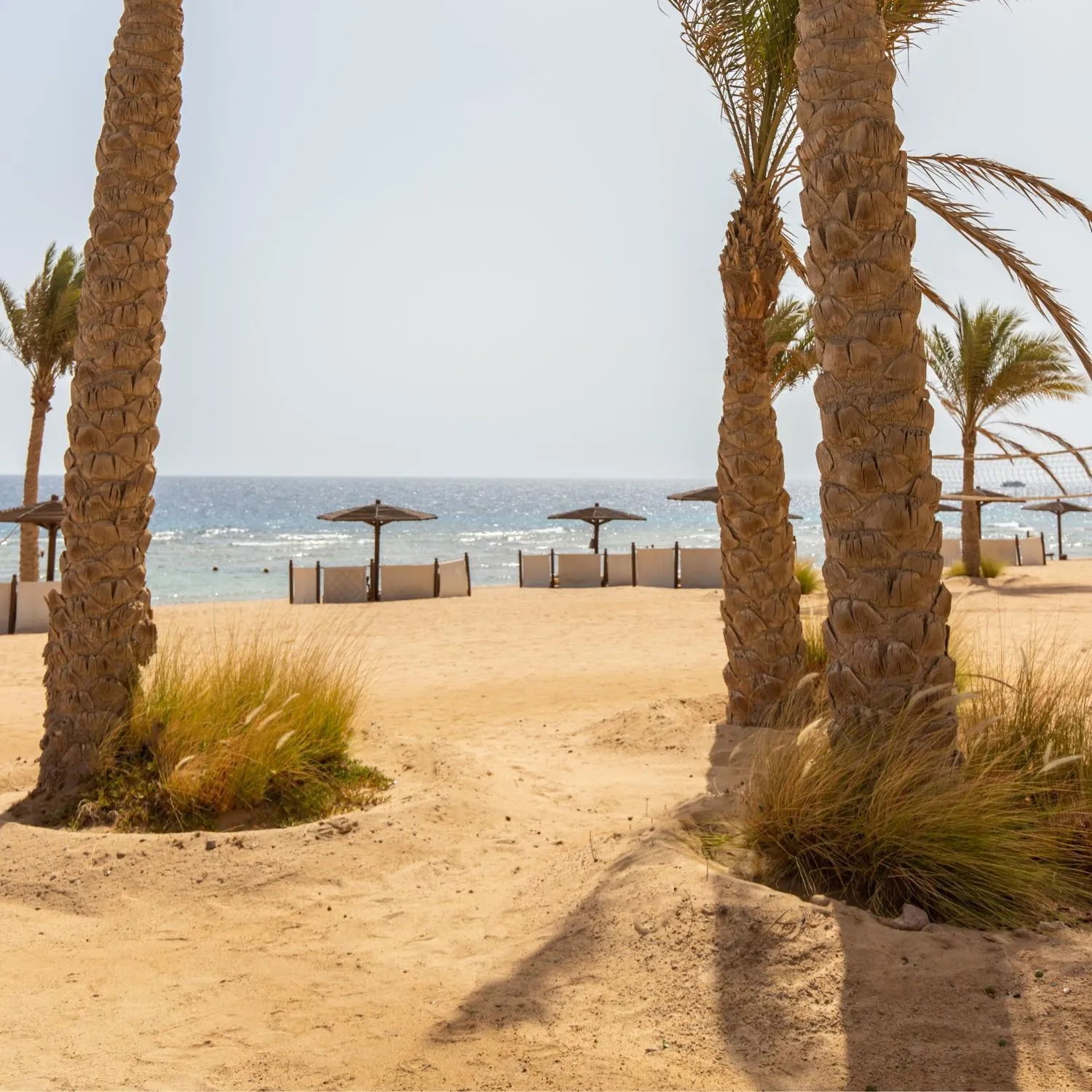 Beach in The Oberoi Beach Resort, Sahl Hasheesh