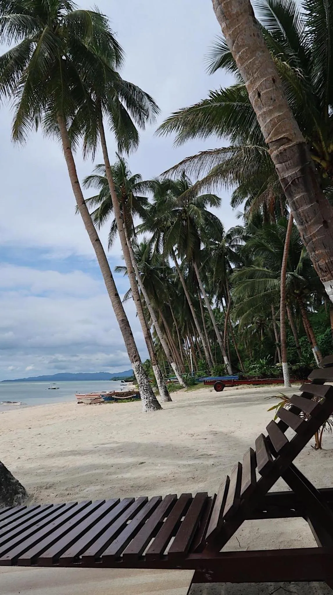 Anda White Beach Resort