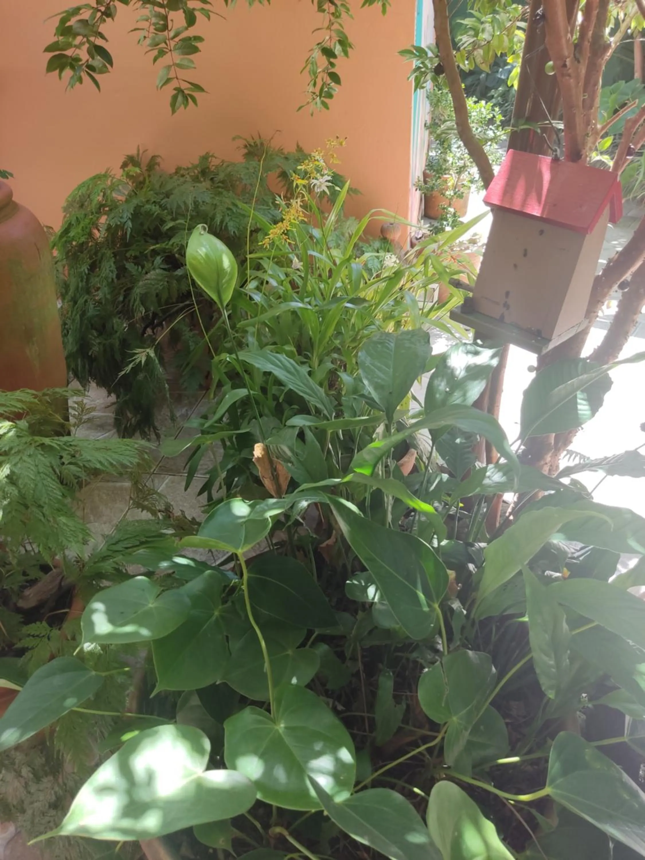 Recanto Toca das Plantas de Ilhabela I