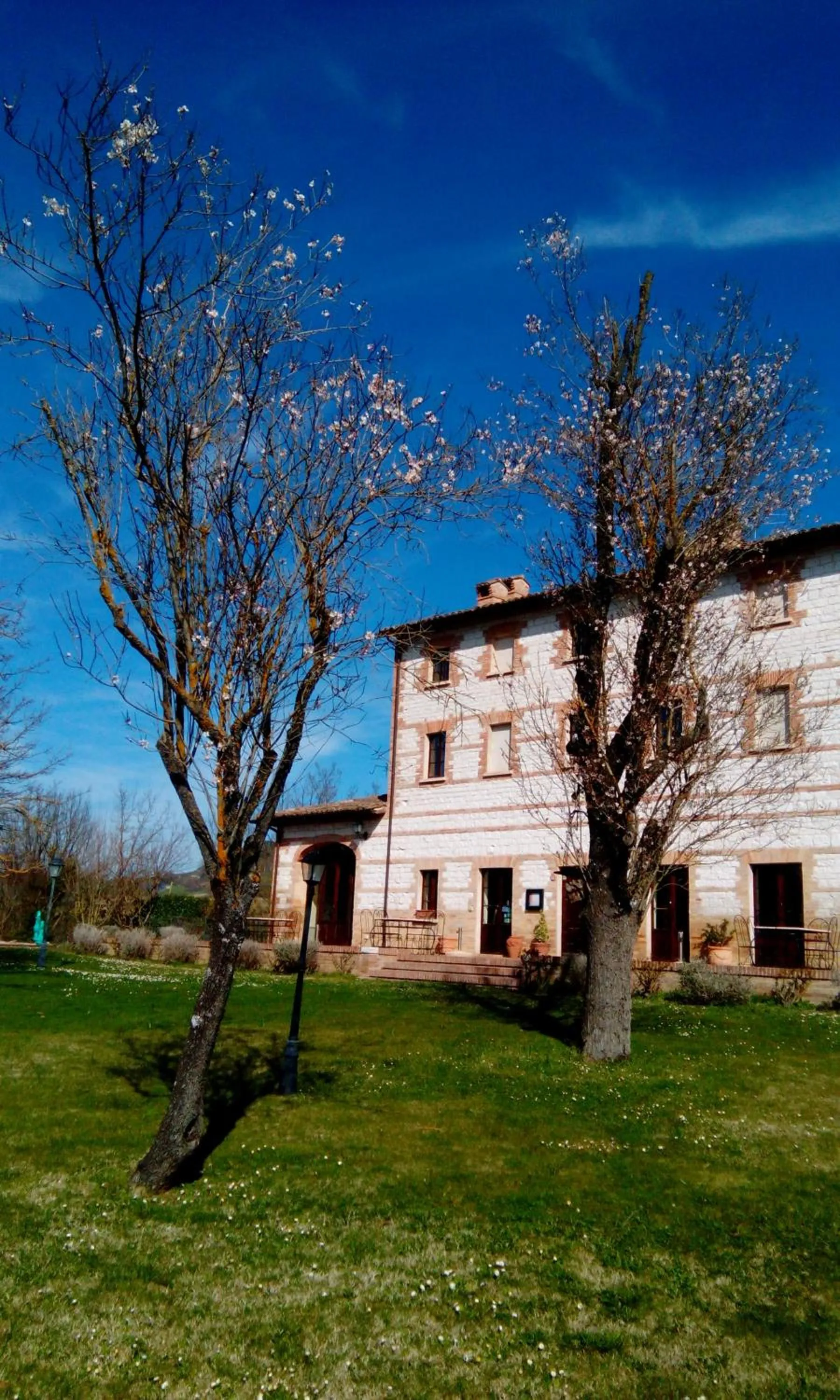 Garden in Parco Ducale Country House