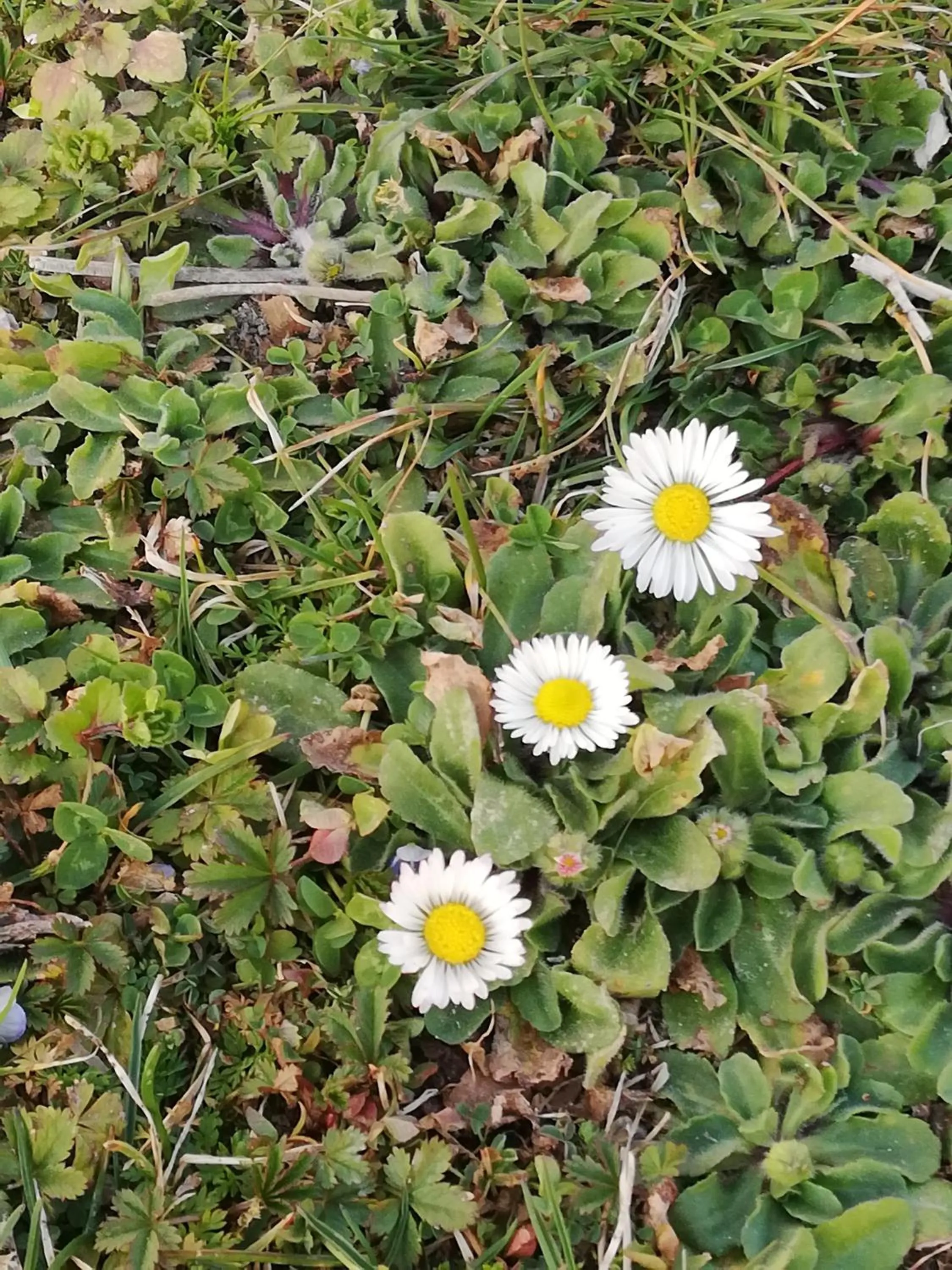 Other in Parco Ducale Country House