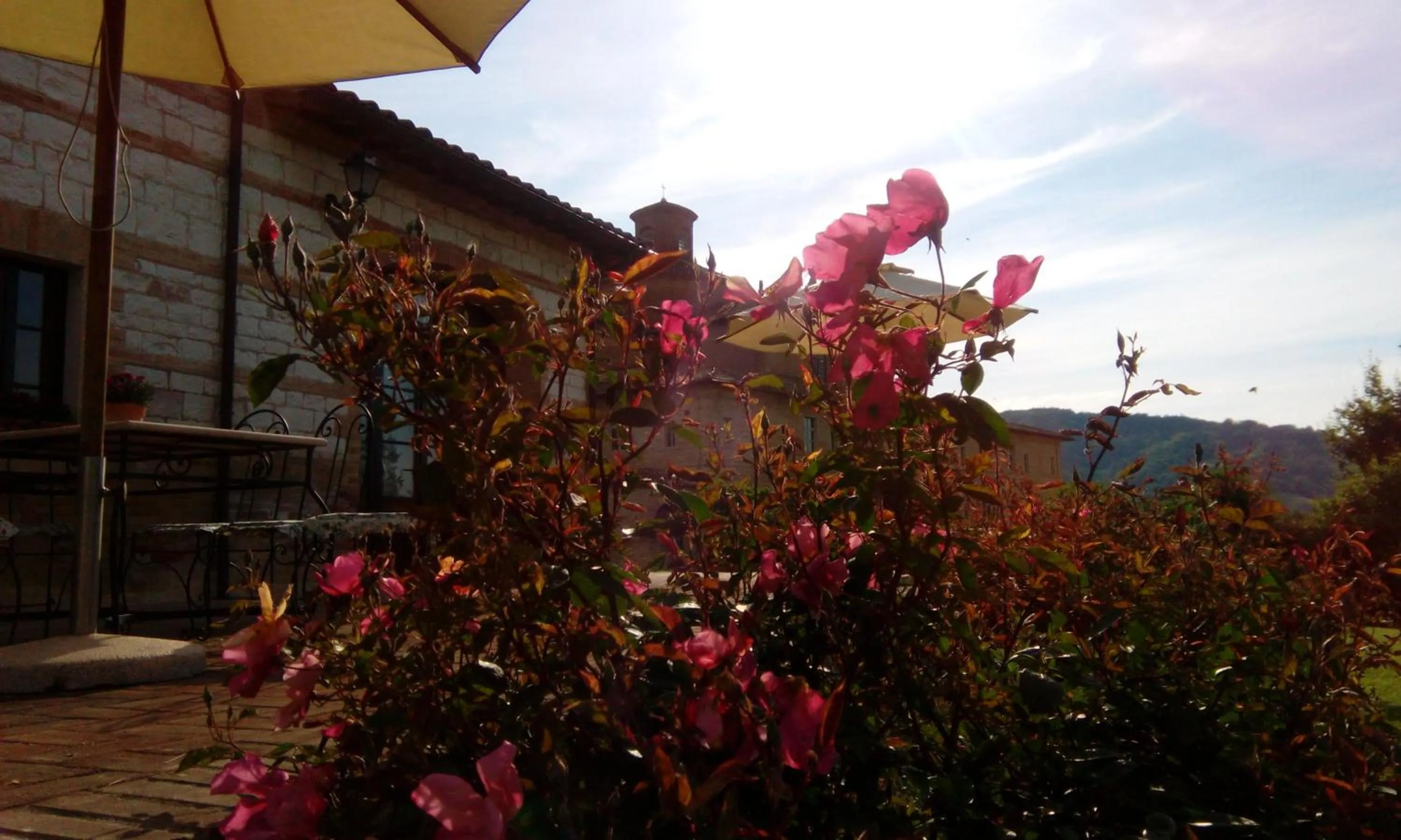 Garden view in Parco Ducale Country House