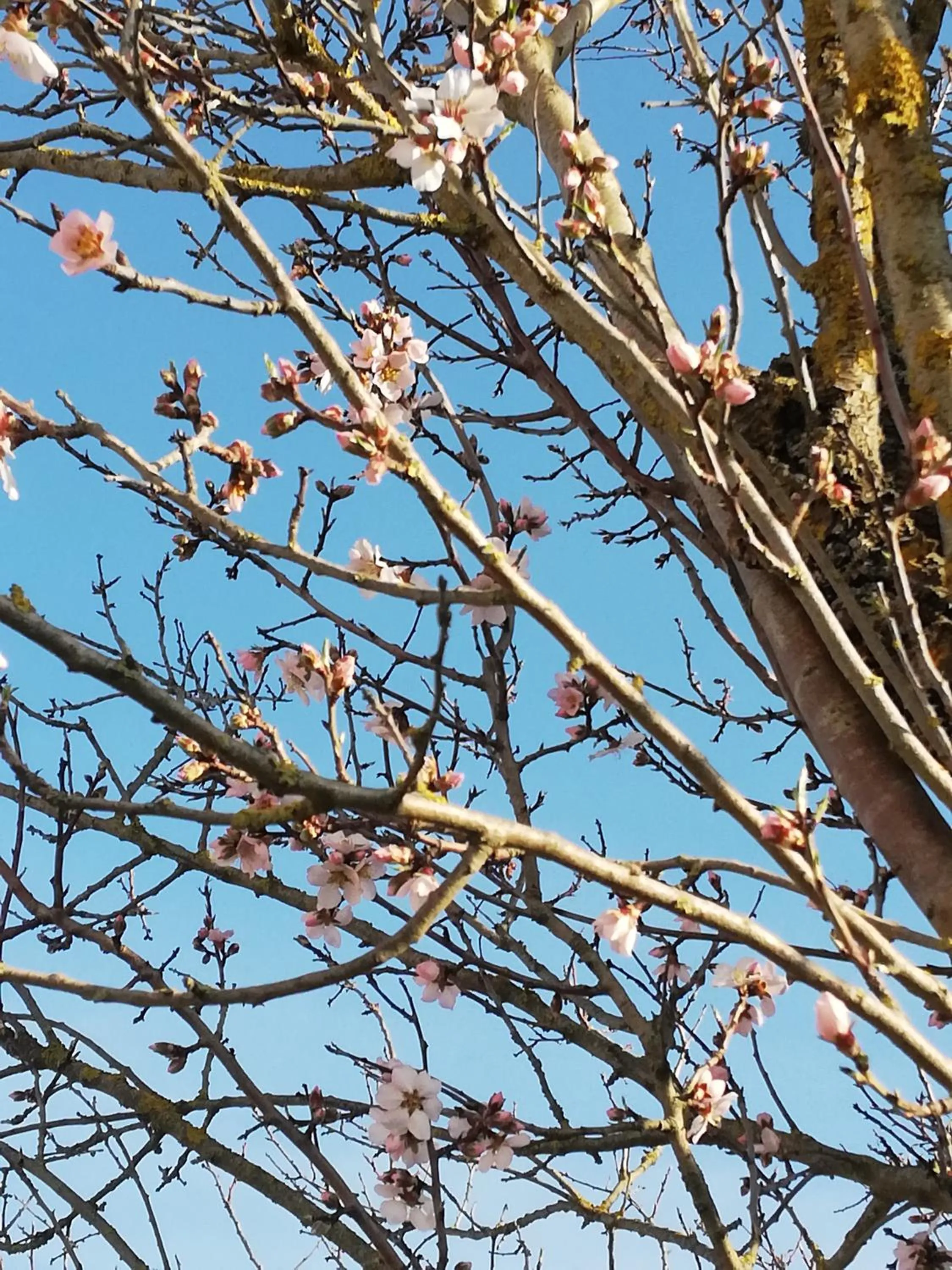 Garden view in Parco Ducale Country House