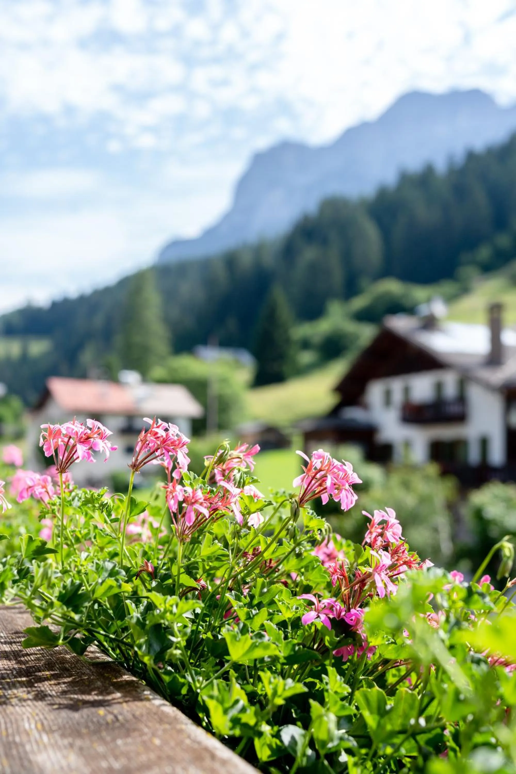 Hotel Fanes Suite & Spa