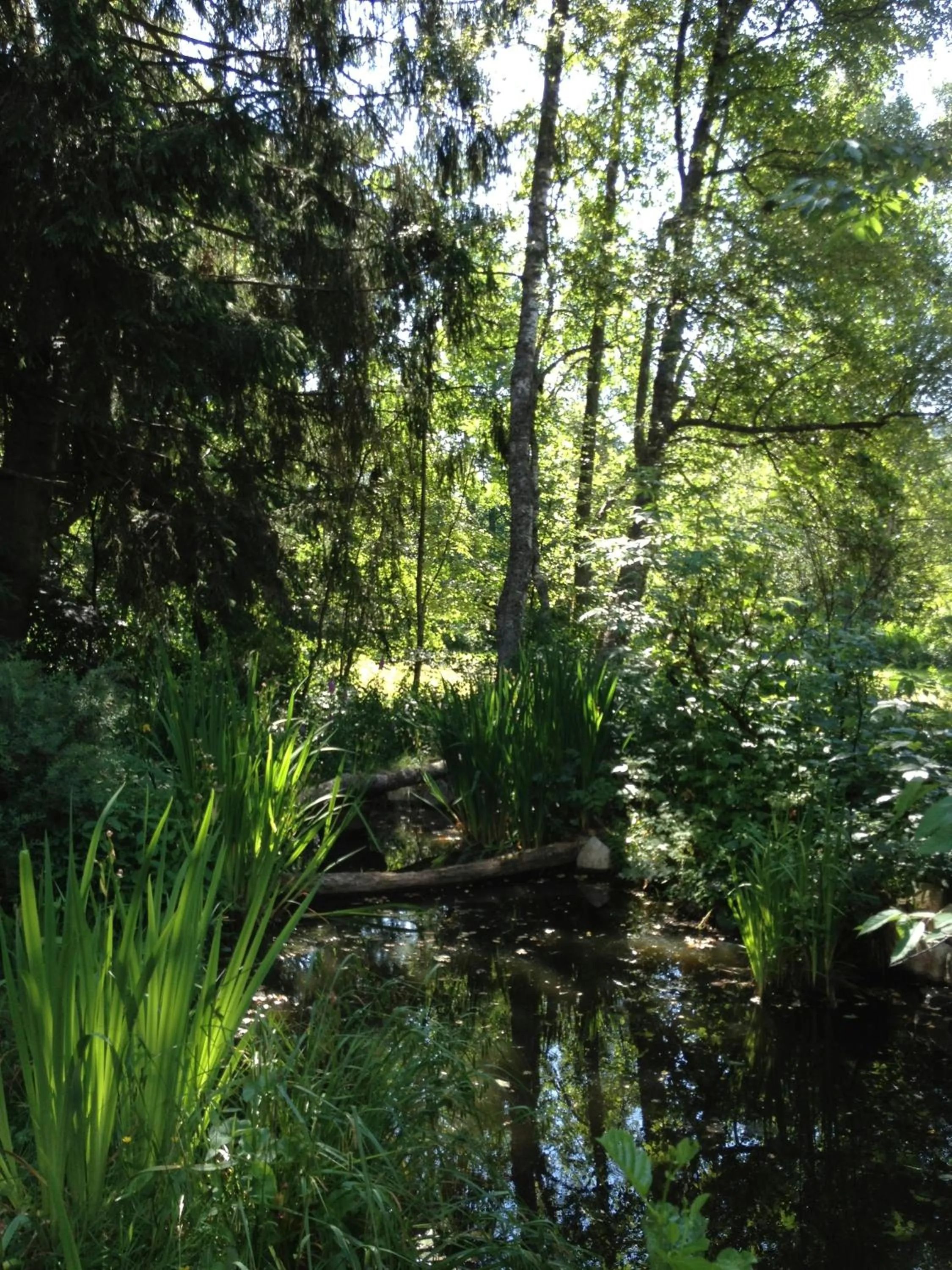 Other in Hotel am Bach