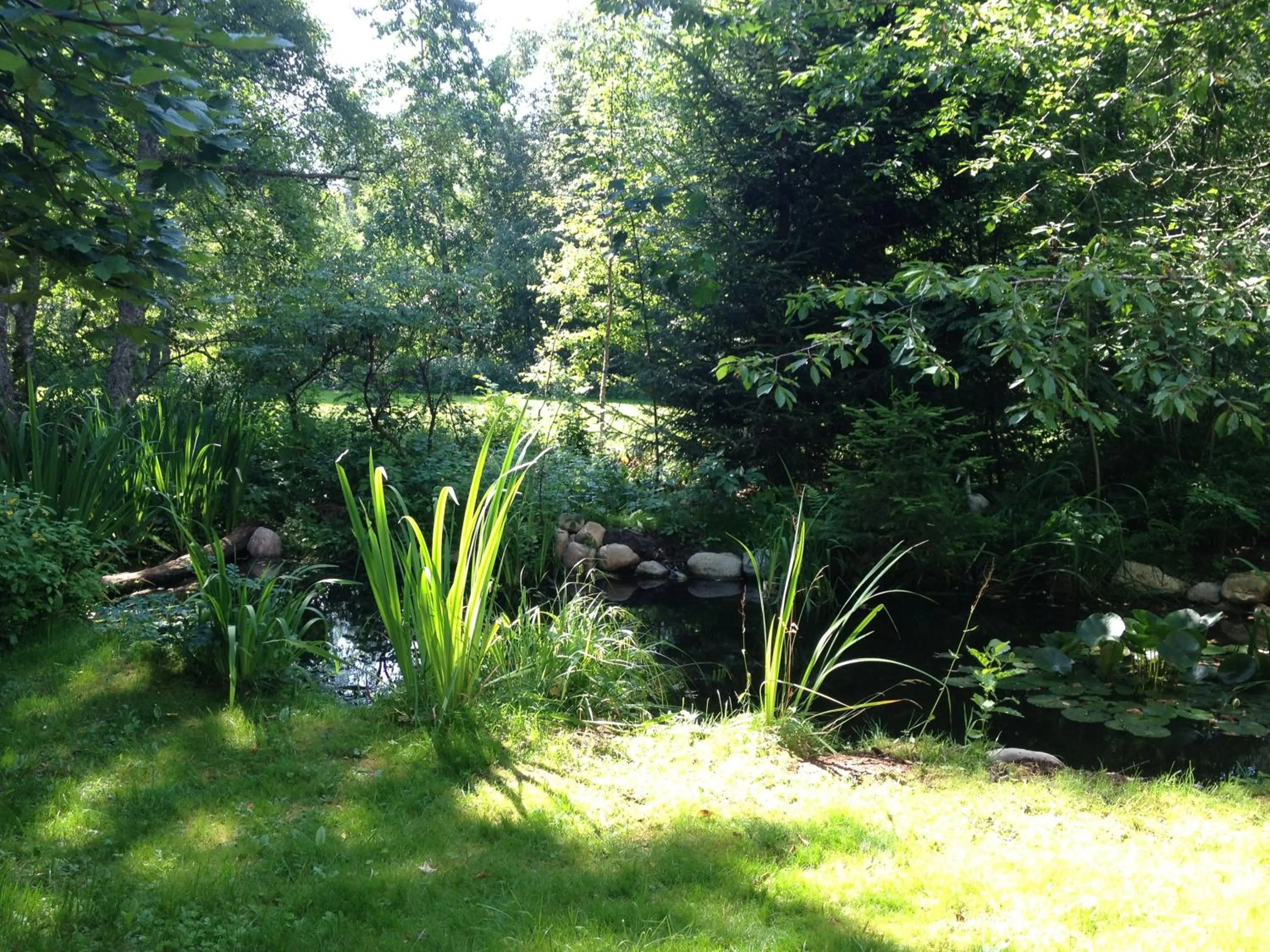 Garden in Hotel am Bach