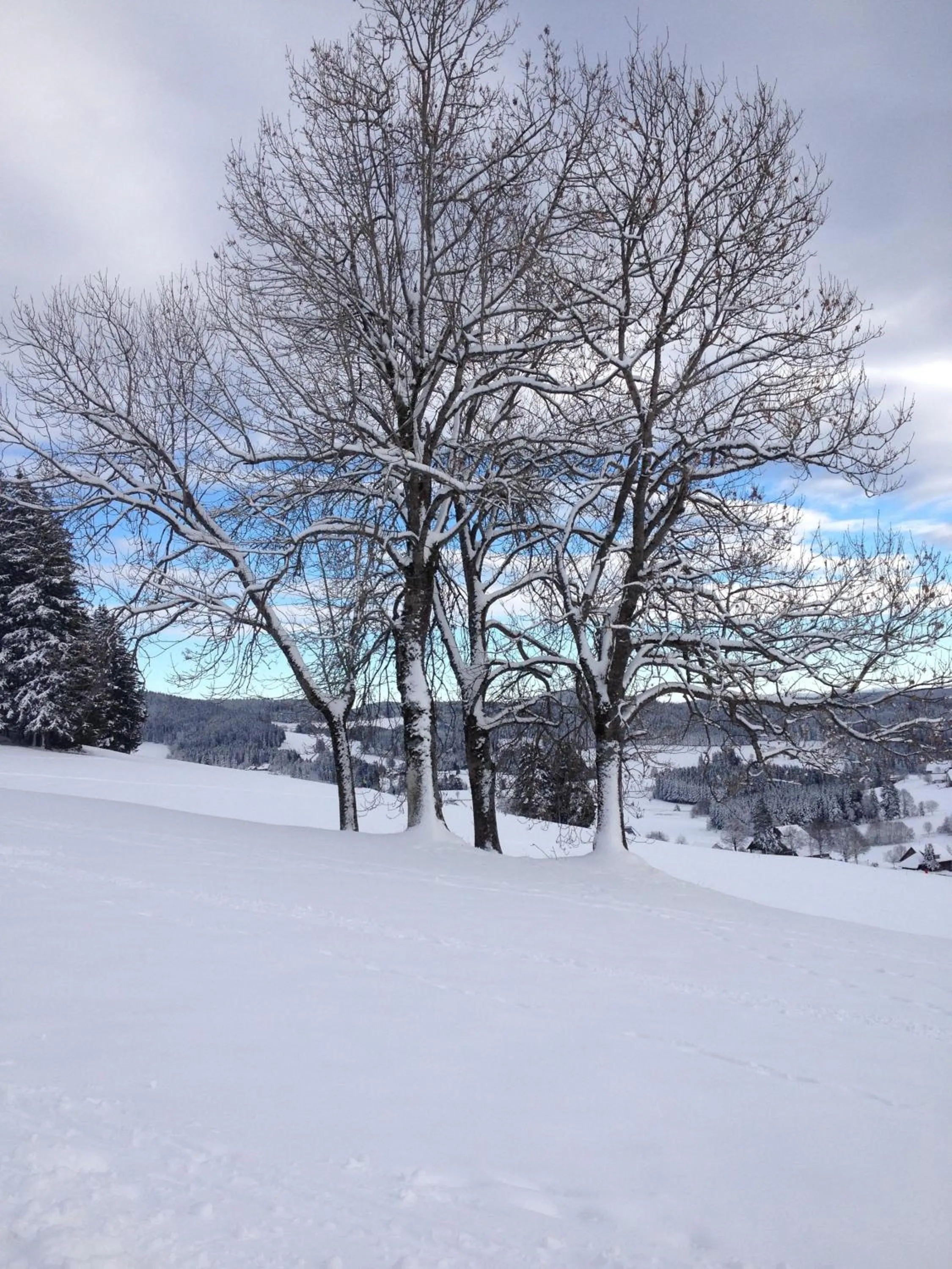 Natural landscape in Hotel am Bach