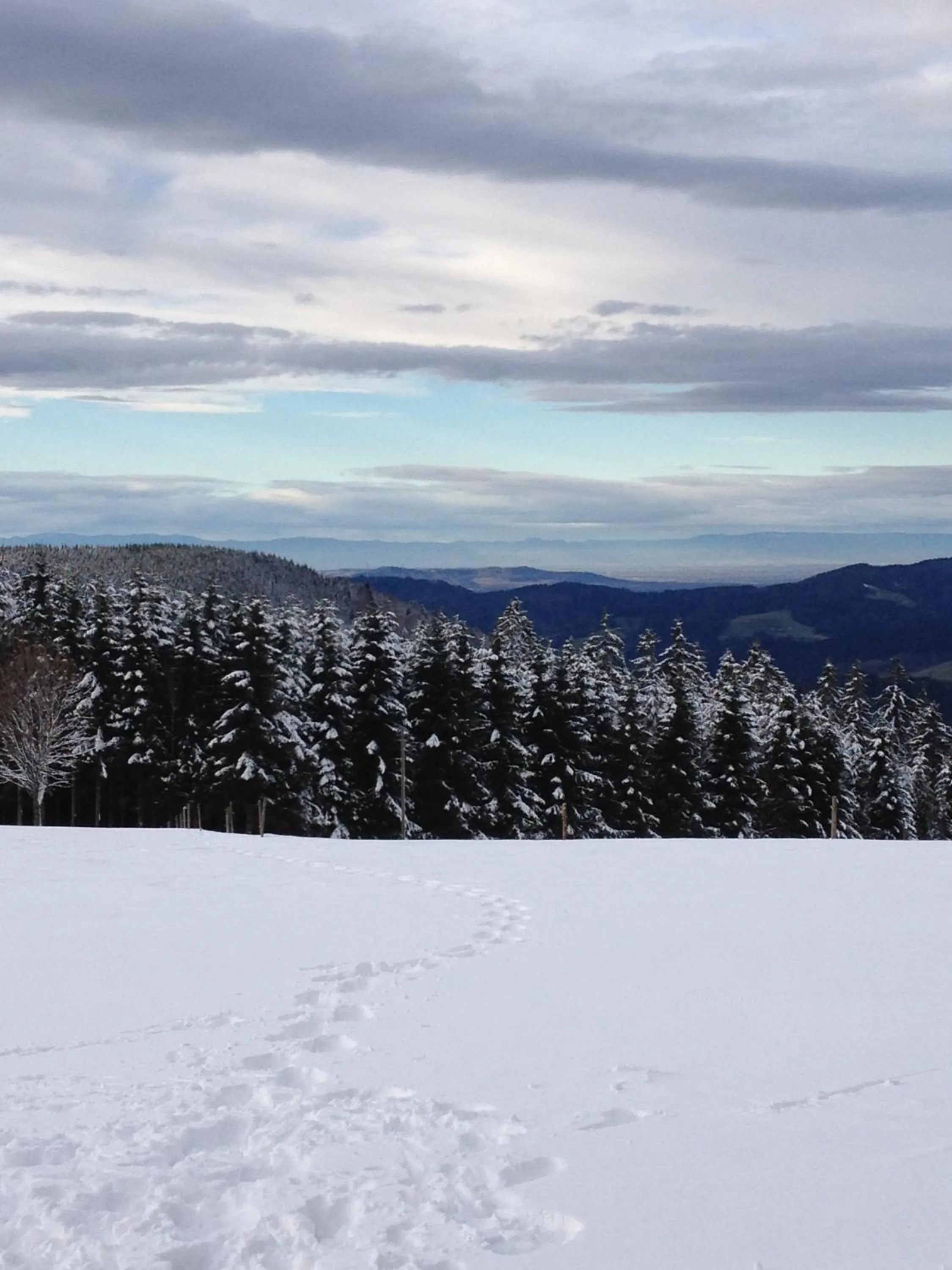 Natural landscape in Hotel am Bach