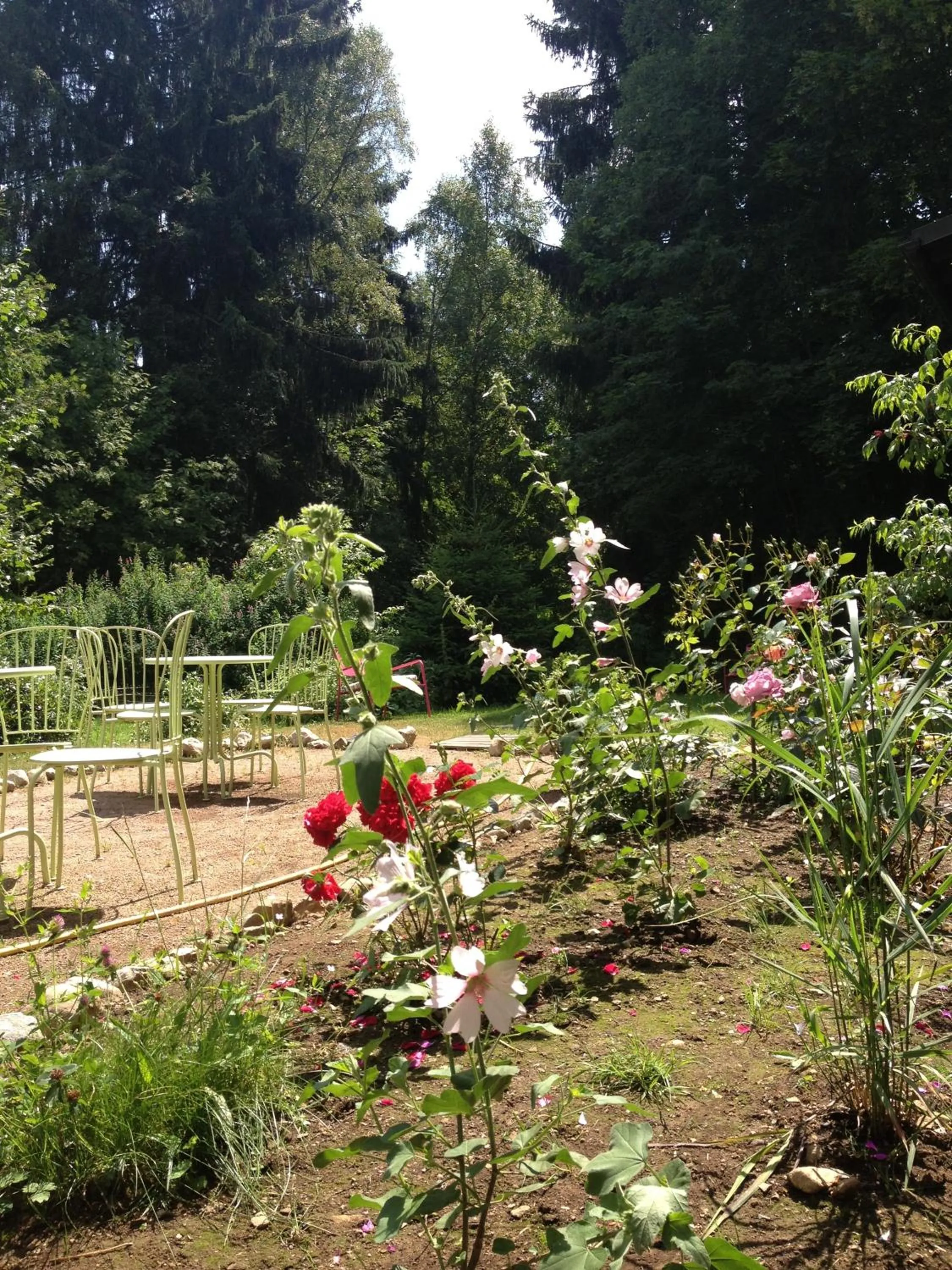 Patio in Hotel am Bach