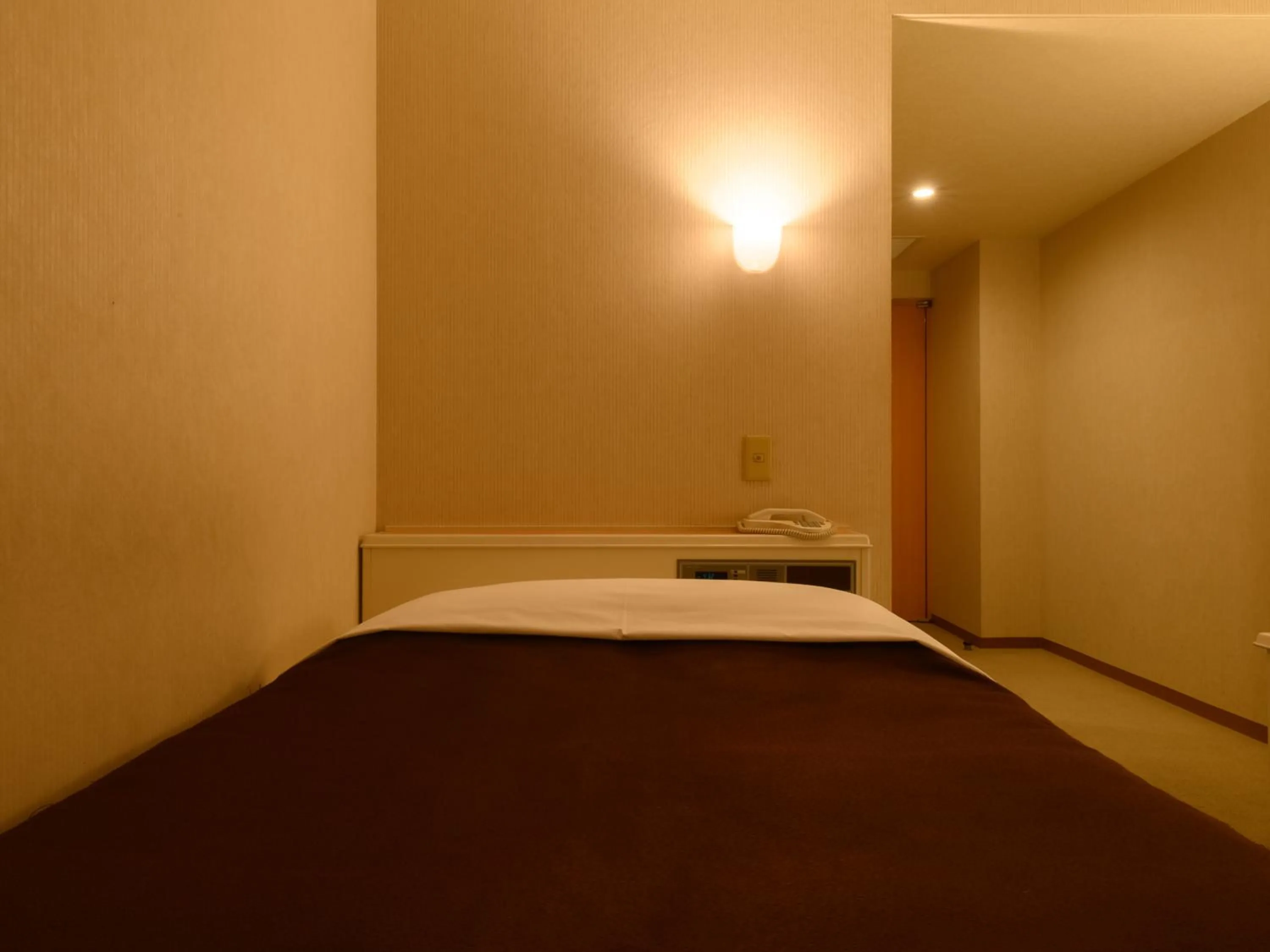 Photo of the whole room, Bed in Sabae City Hotel