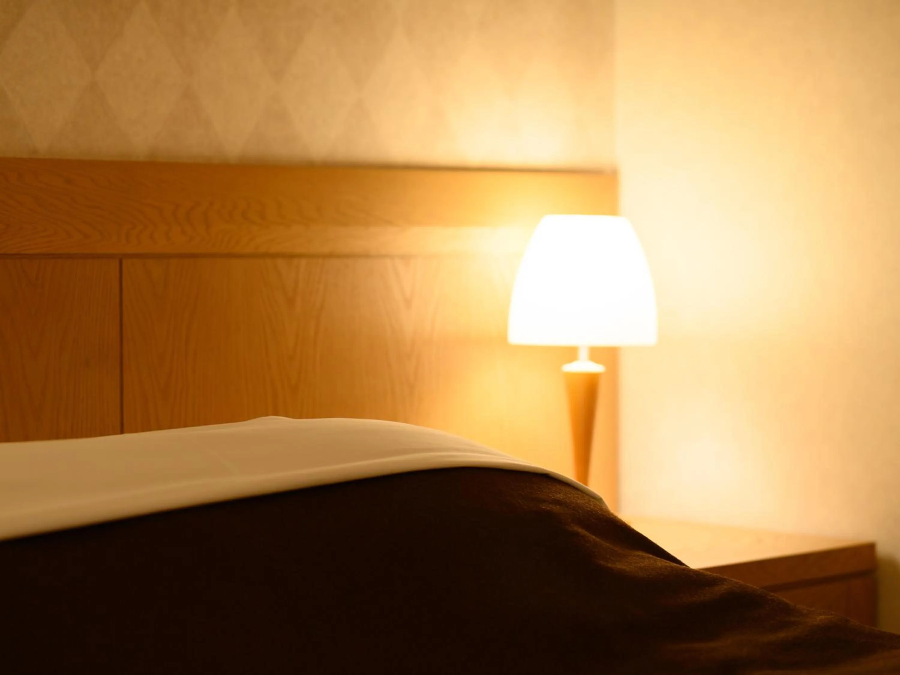 Photo of the whole room, Bed in Sabae City Hotel