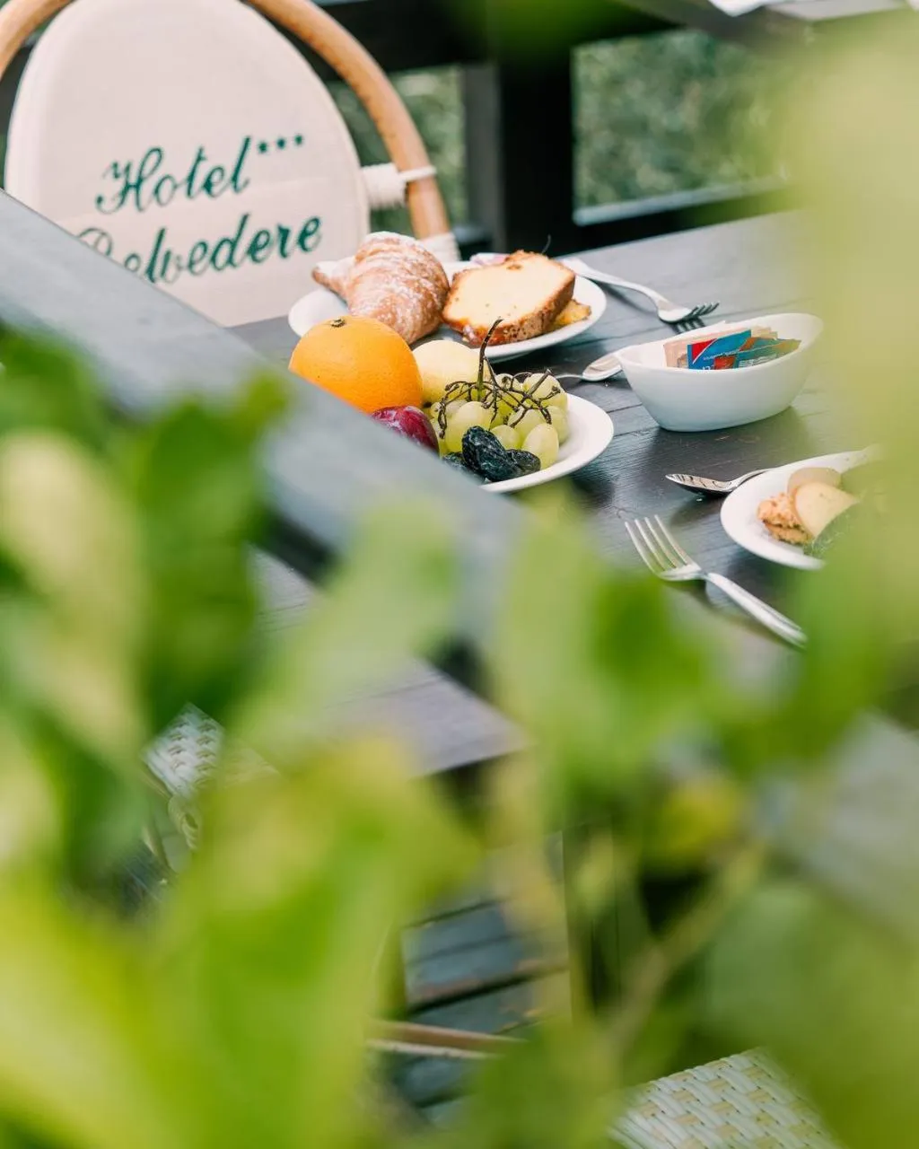 Garden in Hotel Belvedere