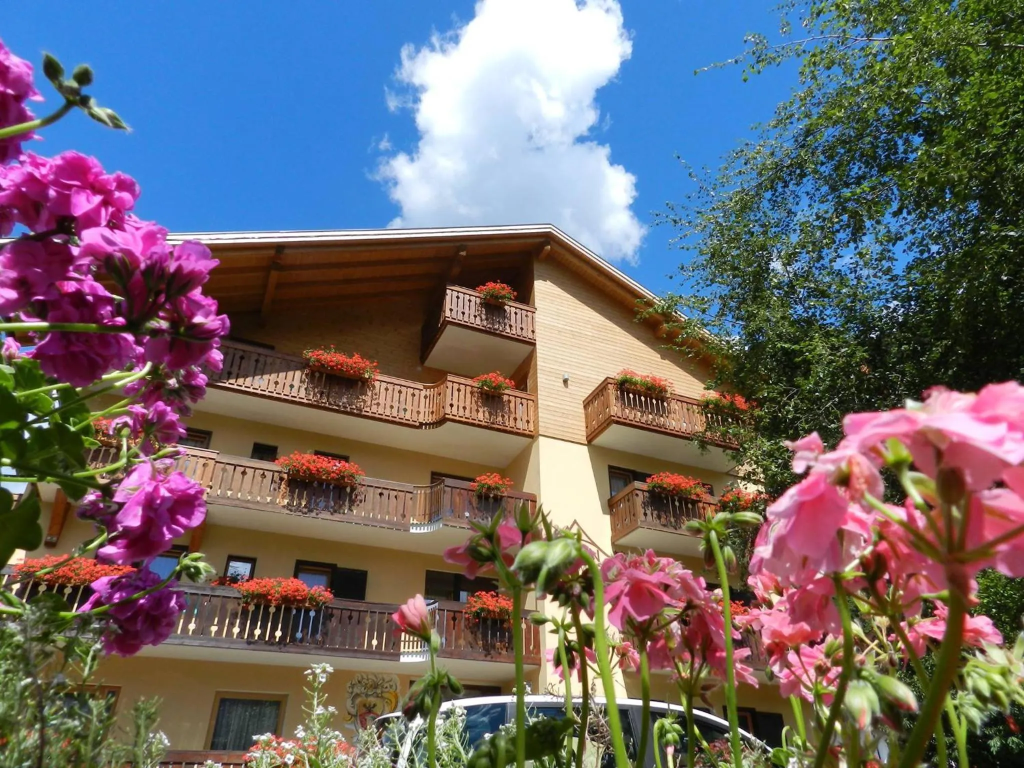 Property building in Cimon Dolomites Hotel