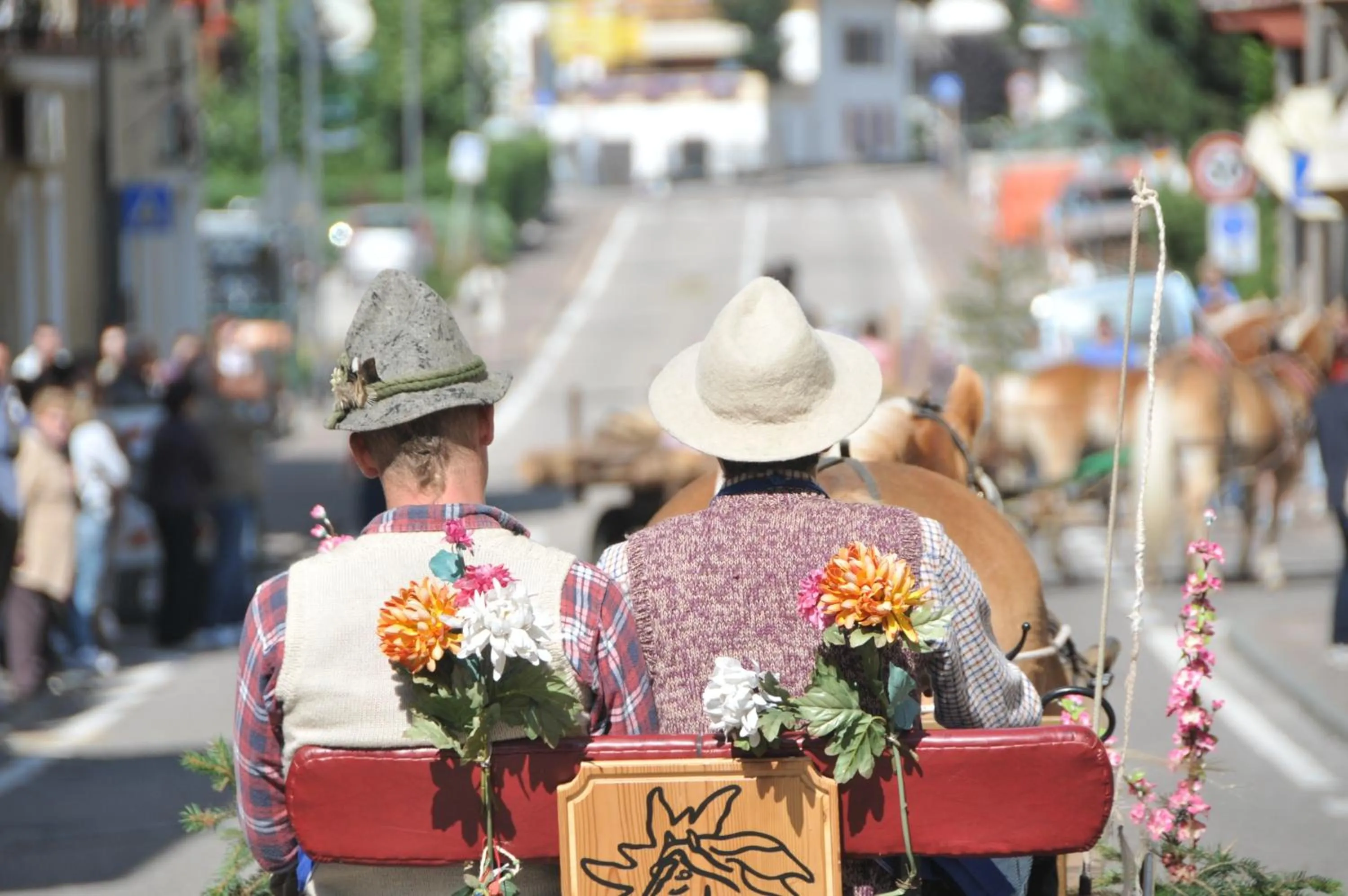 Other in Cimon Dolomites Hotel