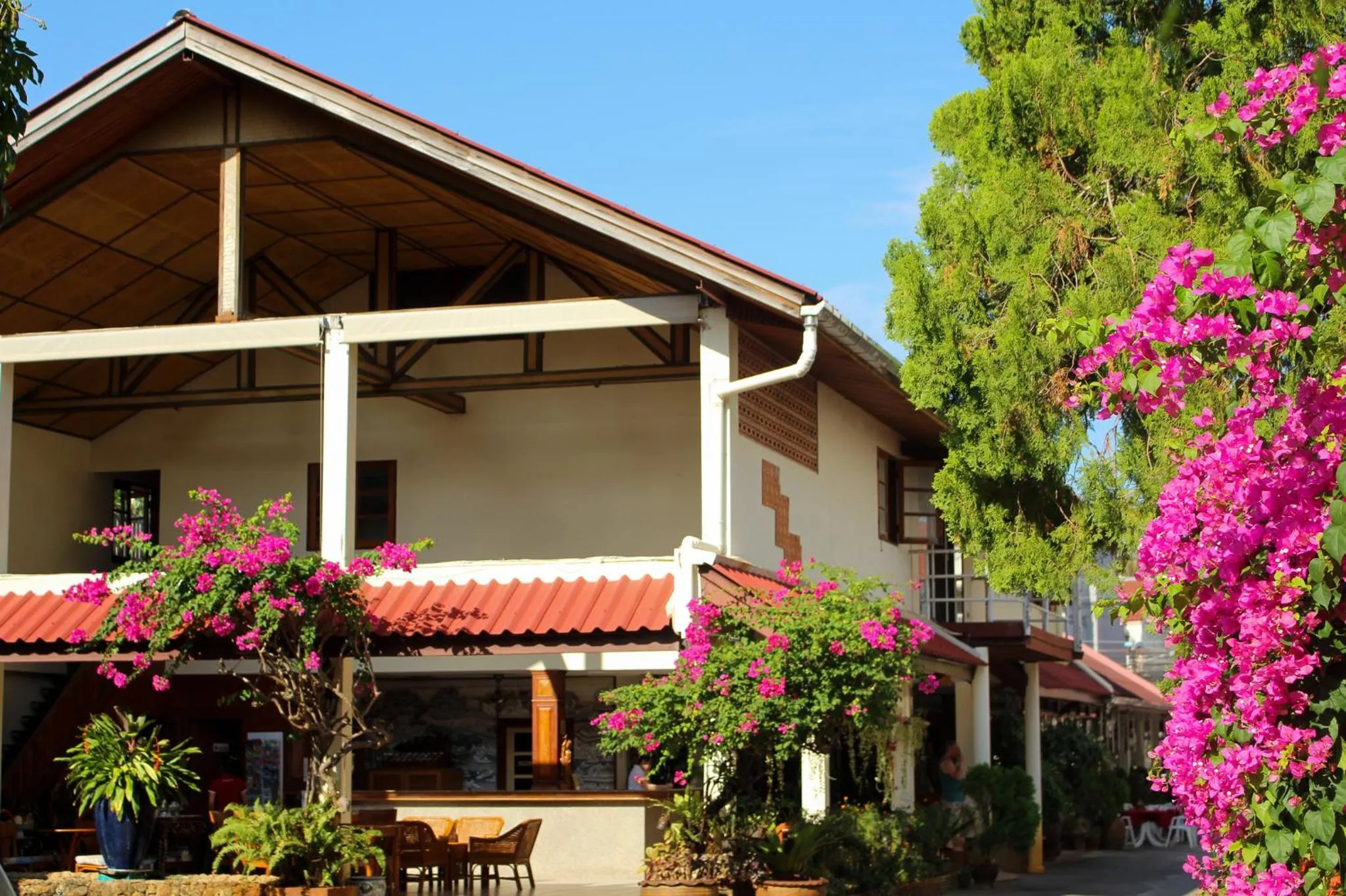 Property building in Patong Palace Hotel - SHA Extra Plus