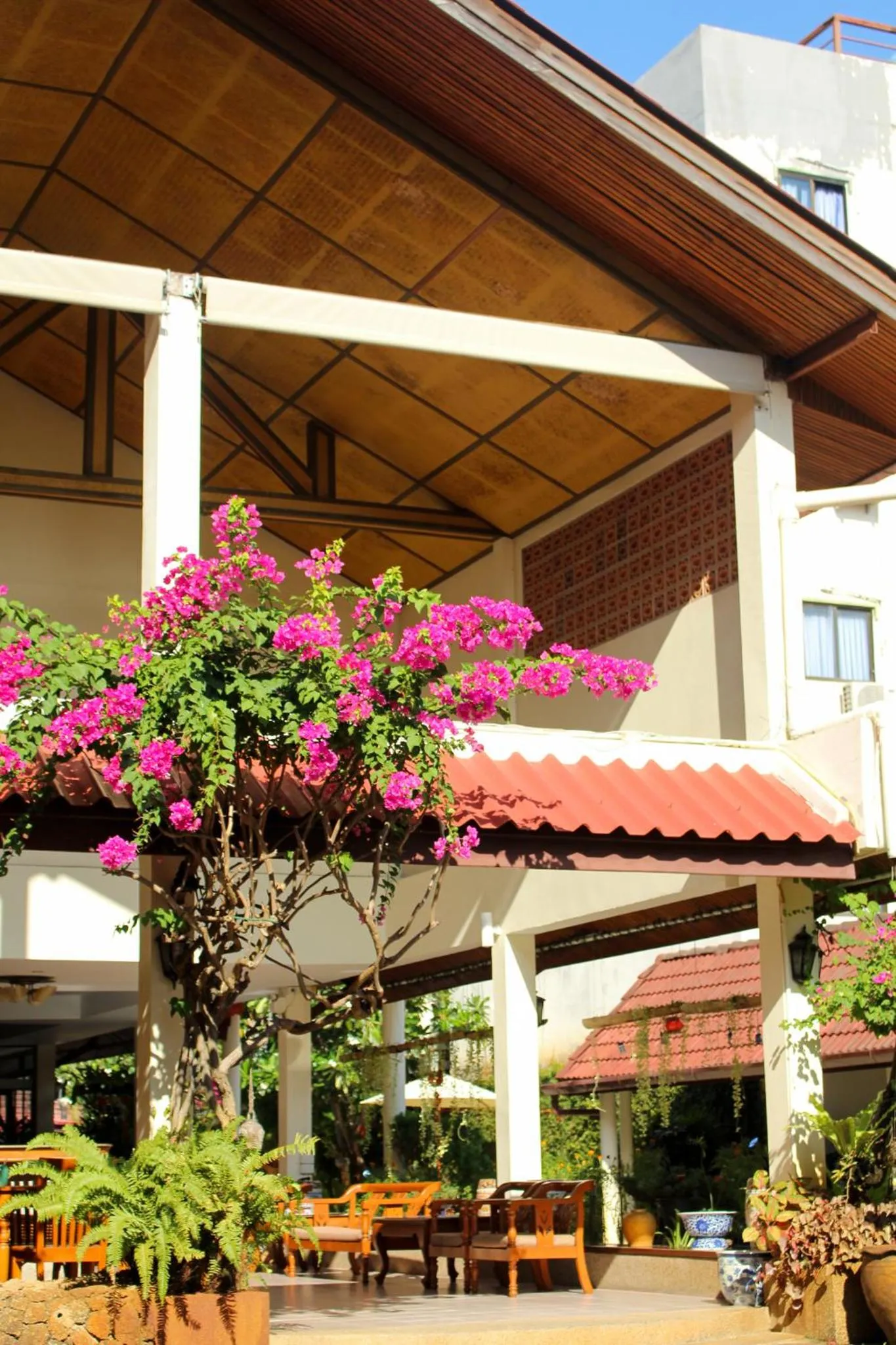 Property building in Patong Palace Hotel - SHA Extra Plus