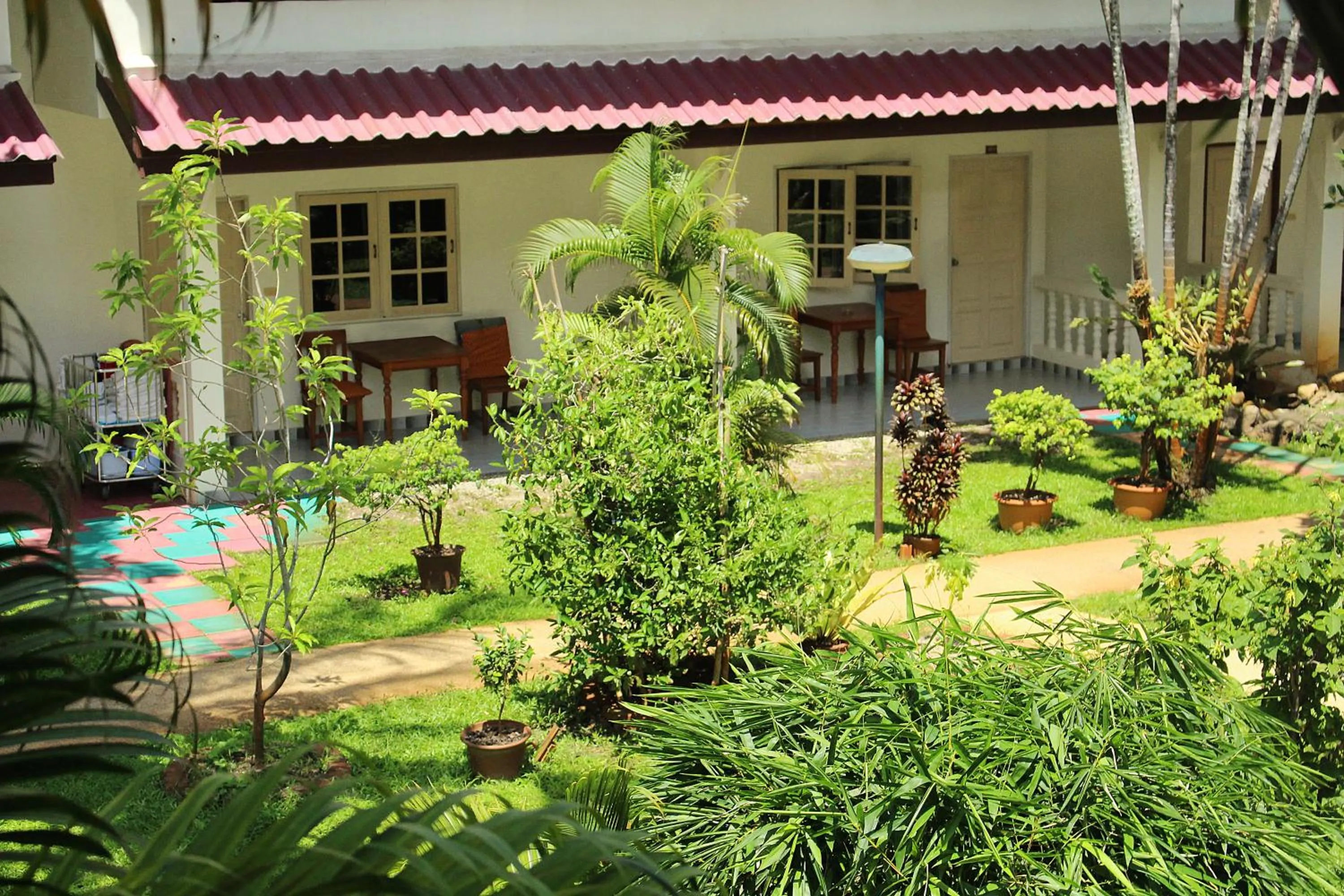 Property building in Patong Palace Hotel - SHA Extra Plus