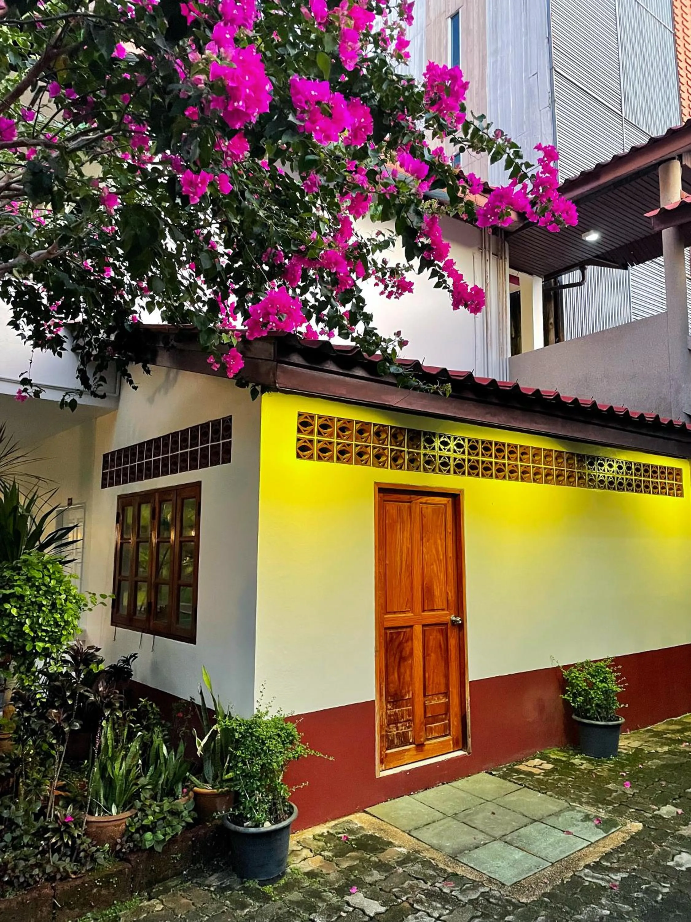 Property building in Patong Palace Hotel - SHA Extra Plus