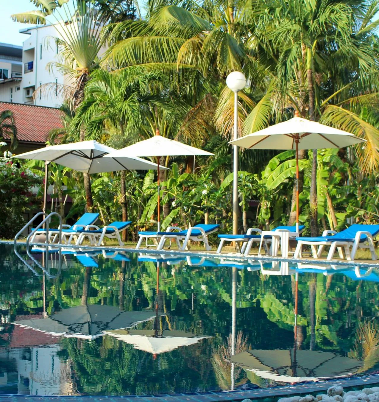 Garden in Patong Palace Hotel - SHA Extra Plus