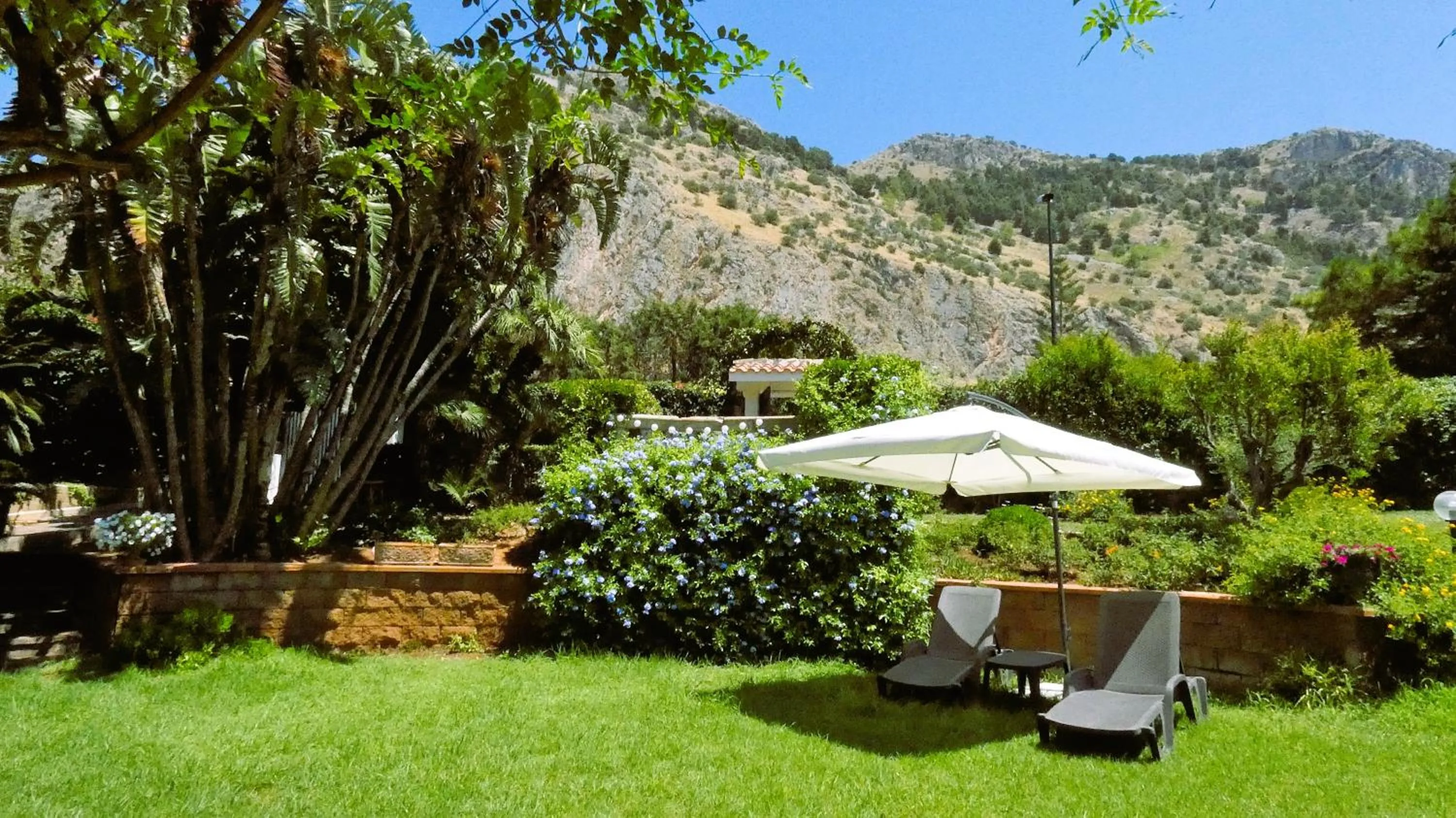 Natural landscape in Bouganville Home Mondello