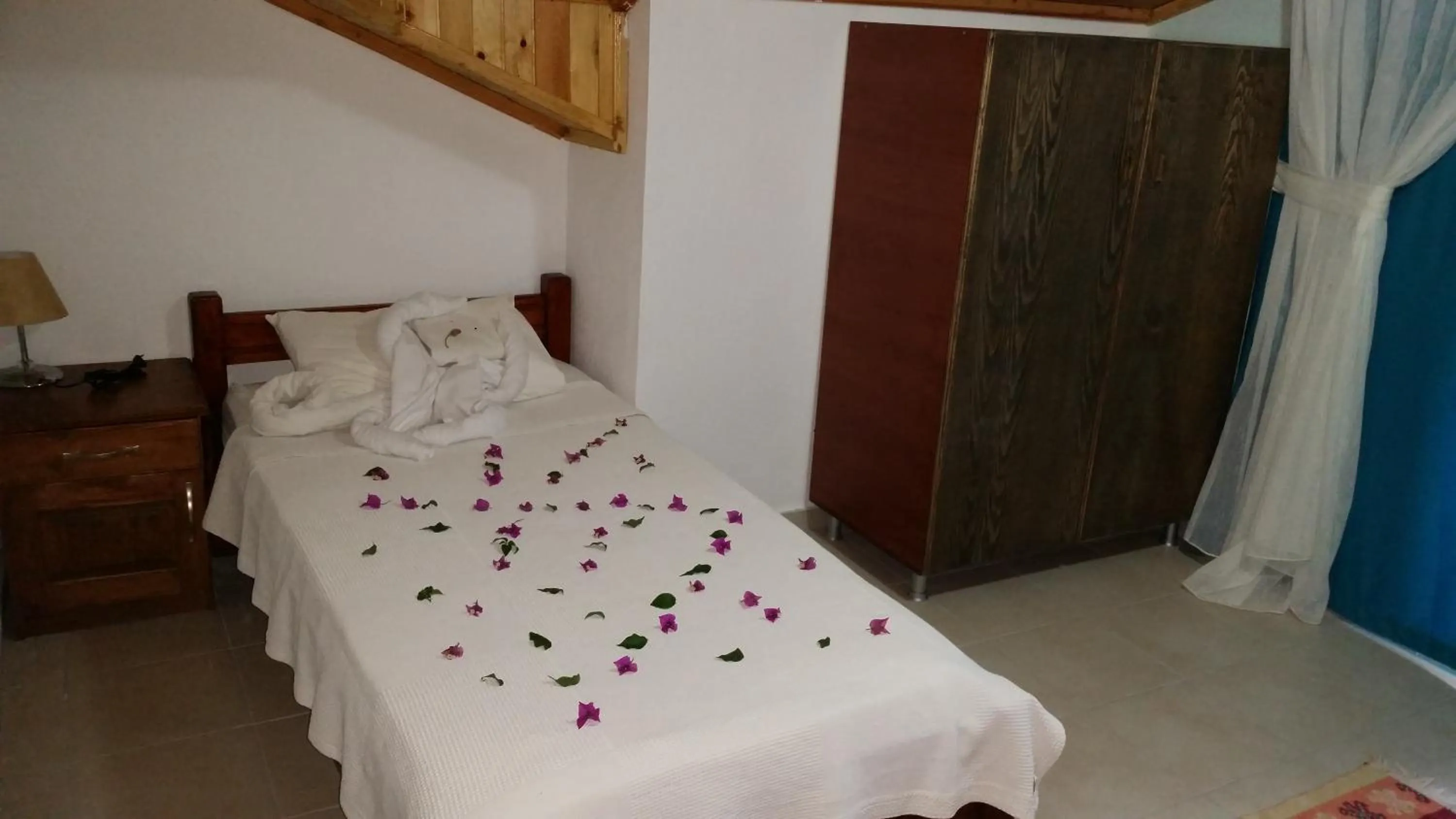 bunk bed in Hotel Riverside