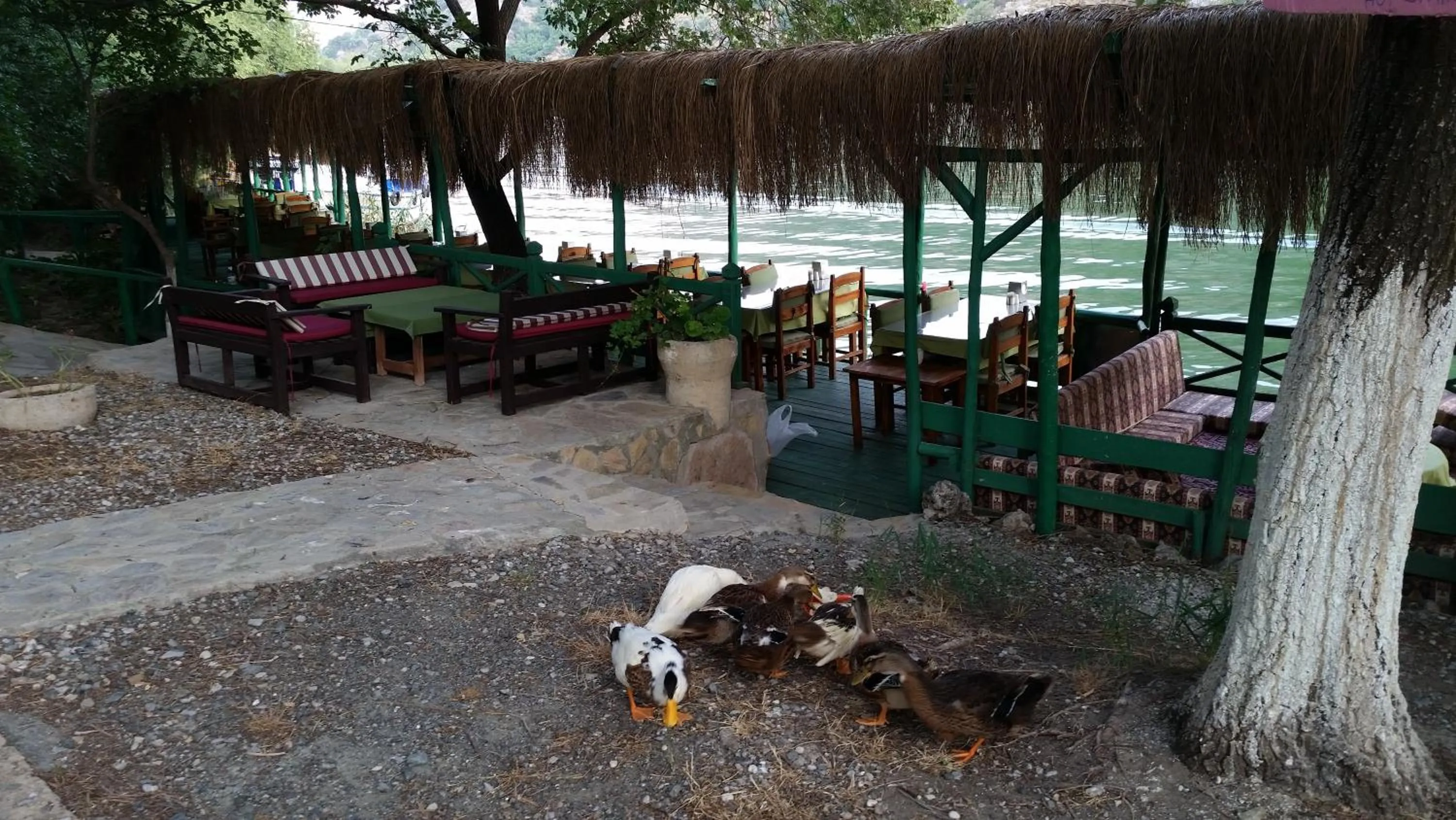 Pets in Hotel Riverside