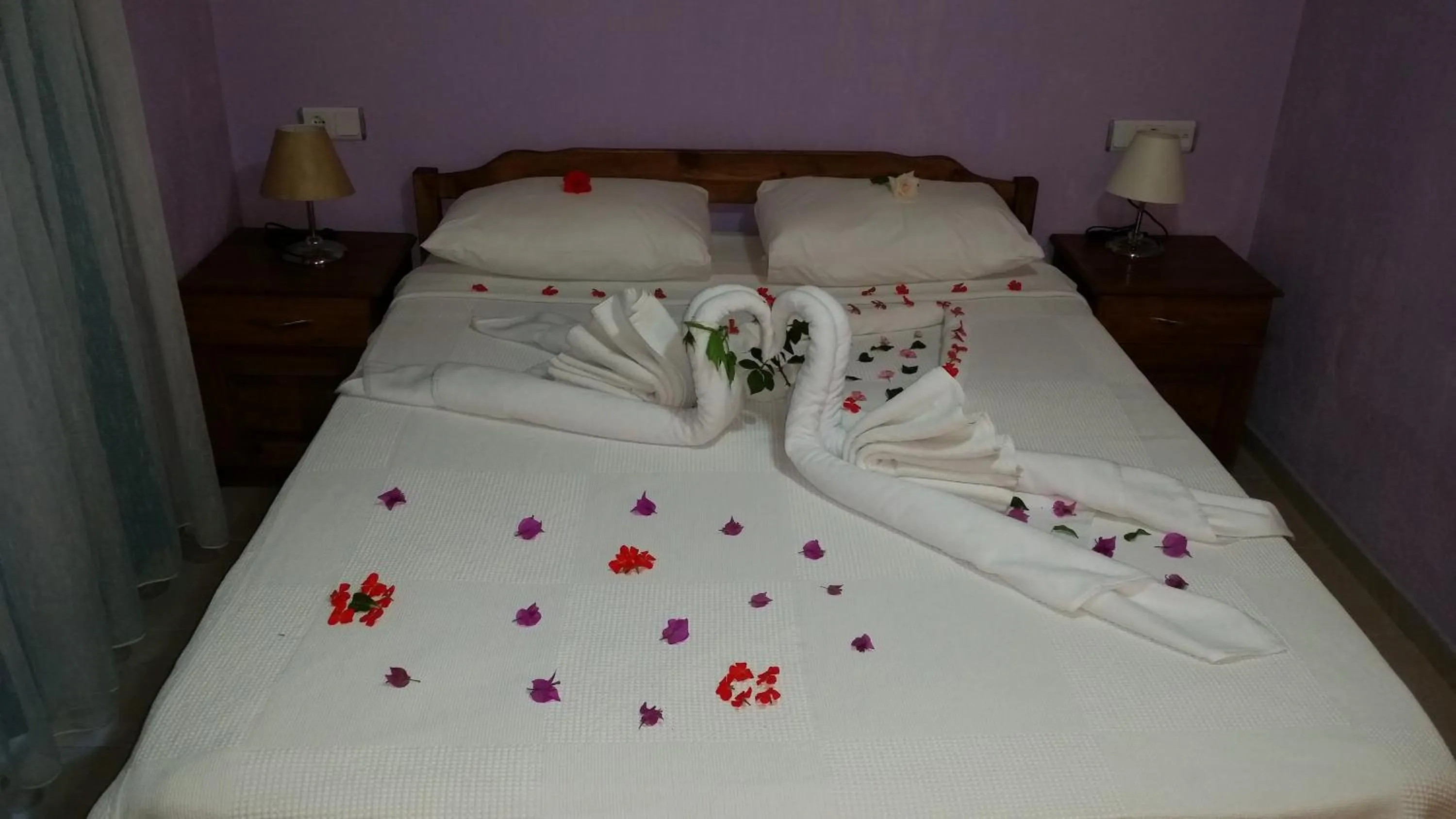 bunk bed in Hotel Riverside