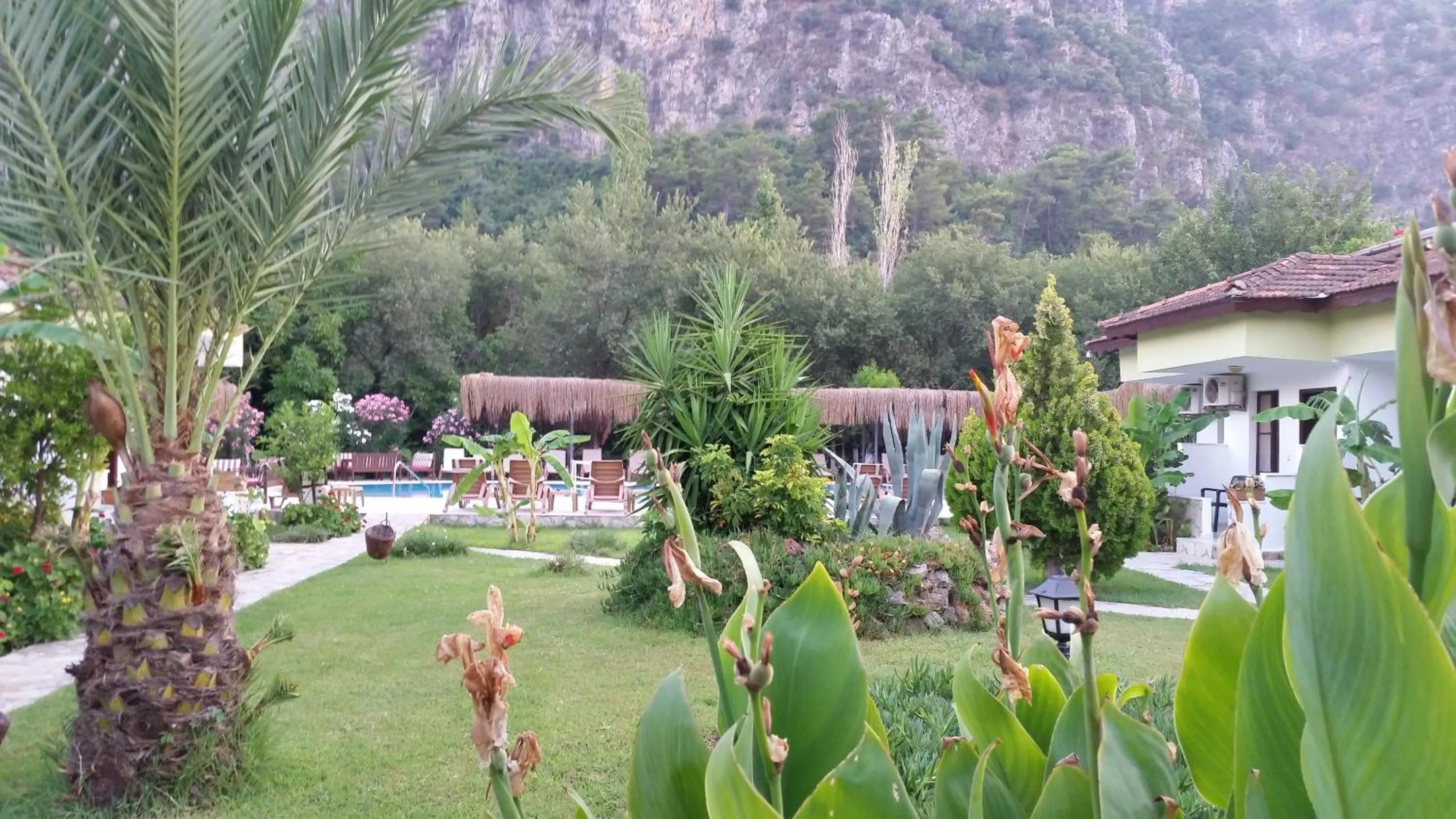 Garden view in Hotel Riverside