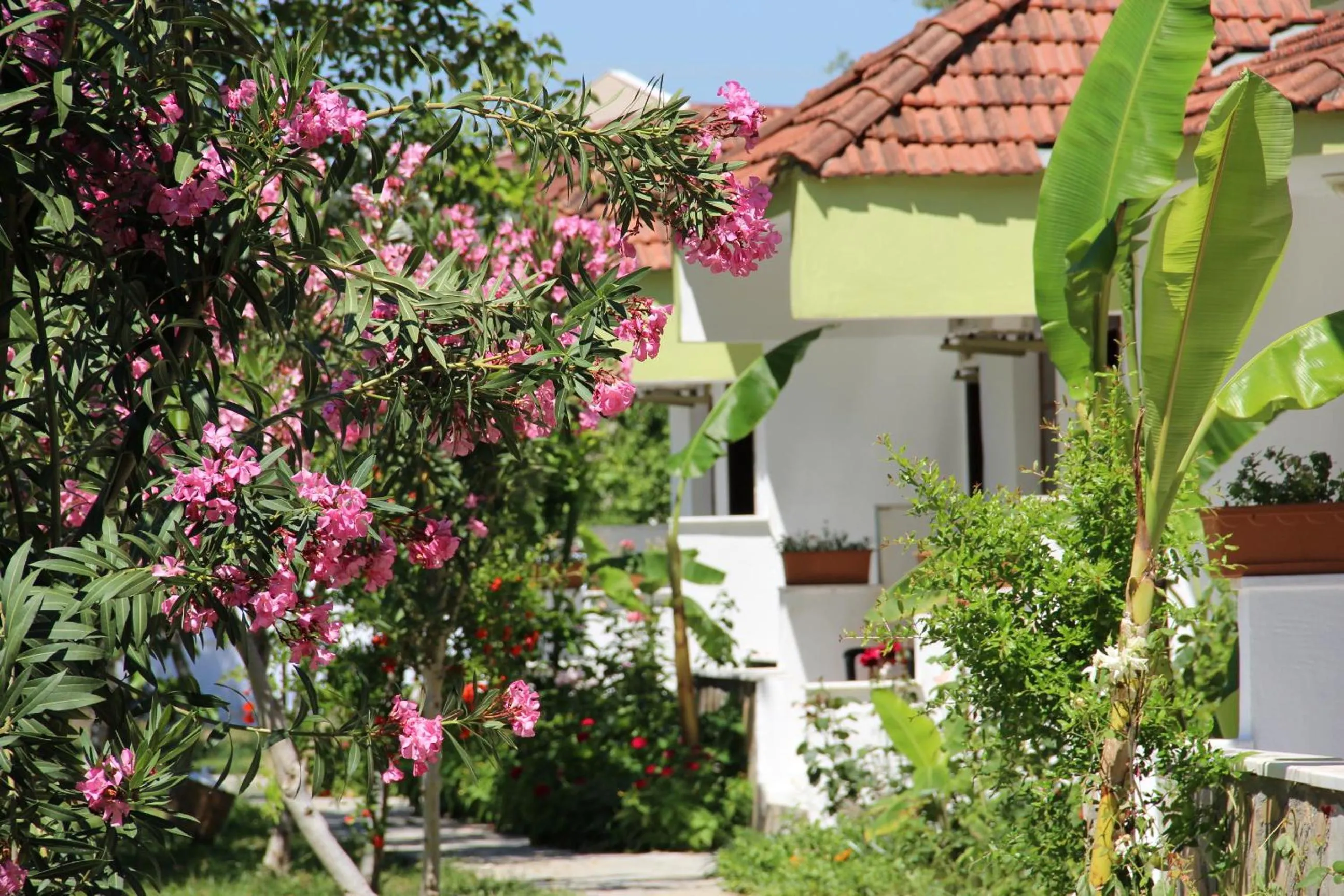 Garden in Hotel Riverside