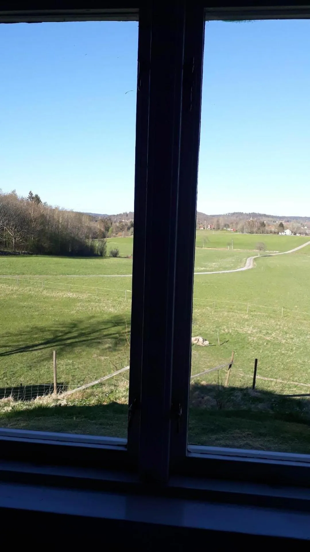 Älgbergets Bed & Breakfast