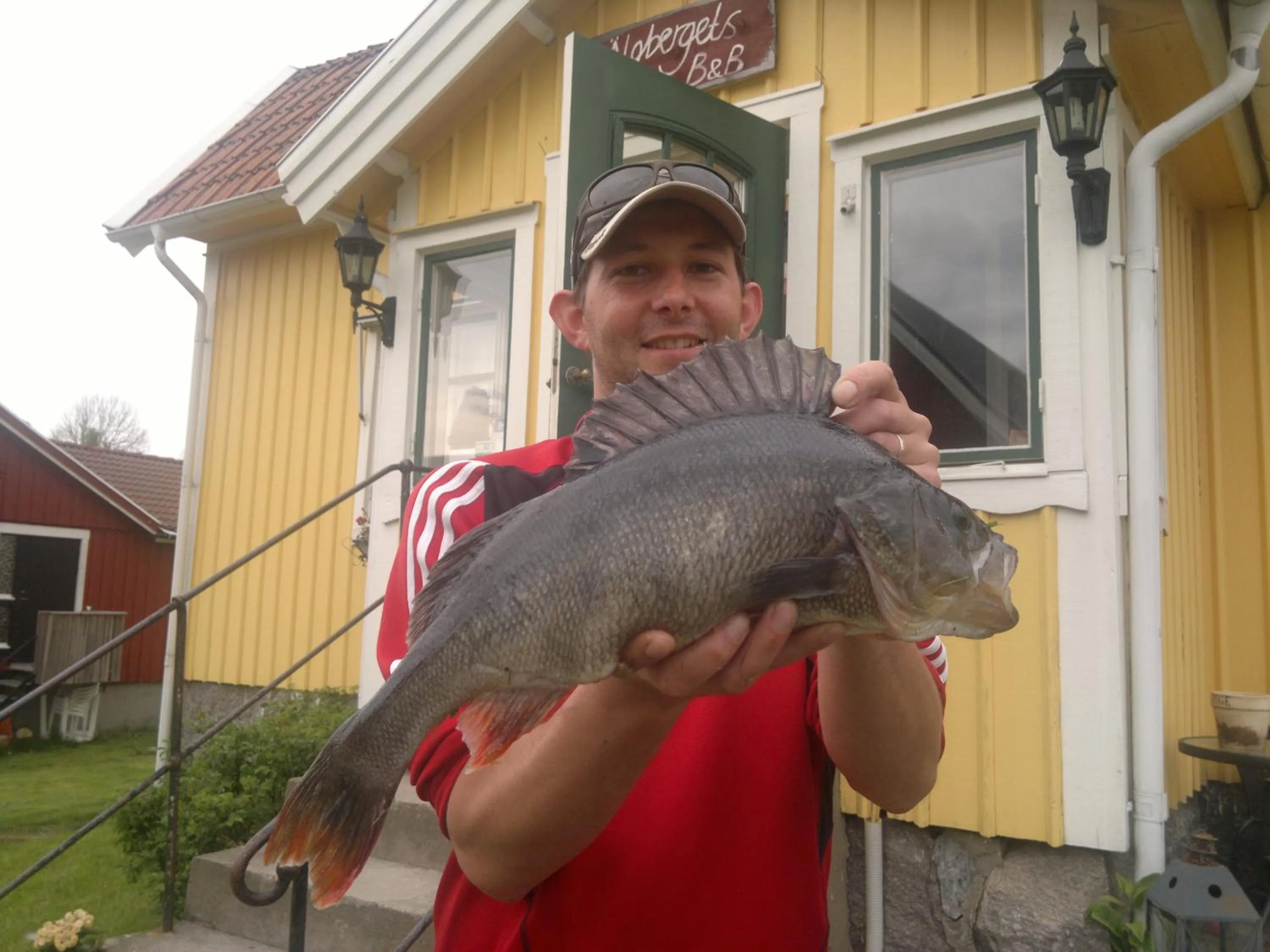 Animals in Älgbergets Bed & Breakfast