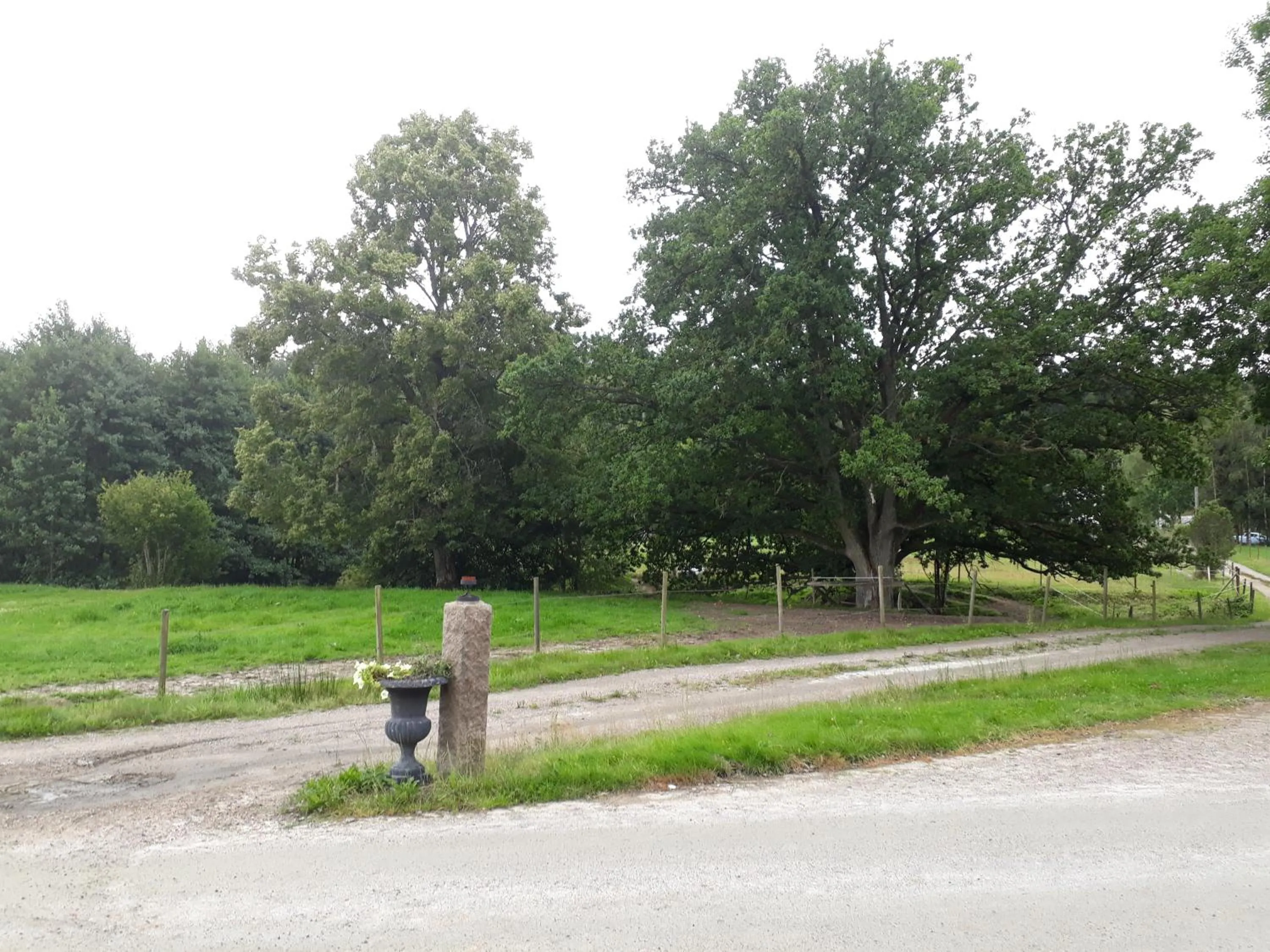 Älgbergets Bed & Breakfast