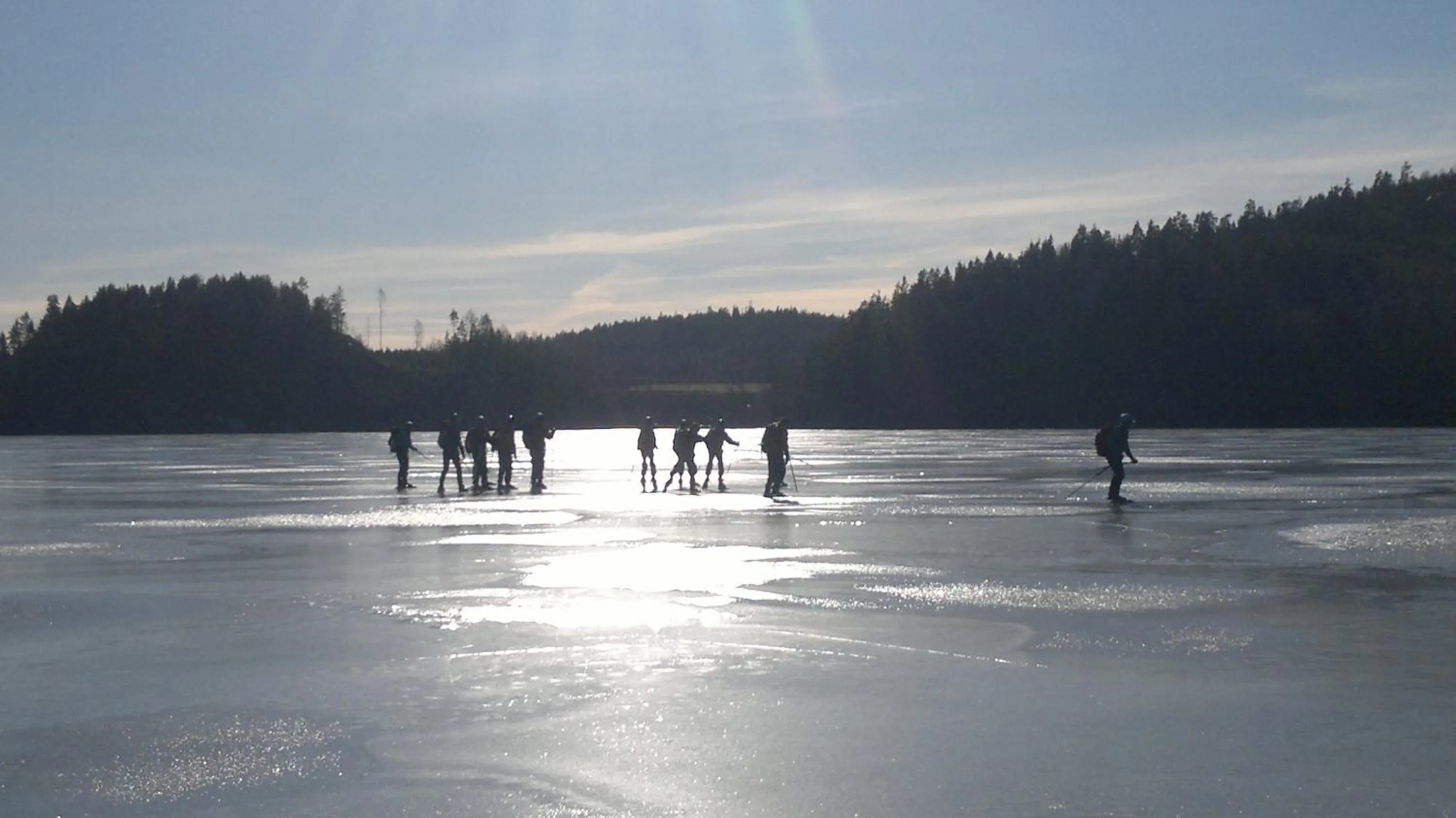 Skiing in Älgbergets Bed & Breakfast