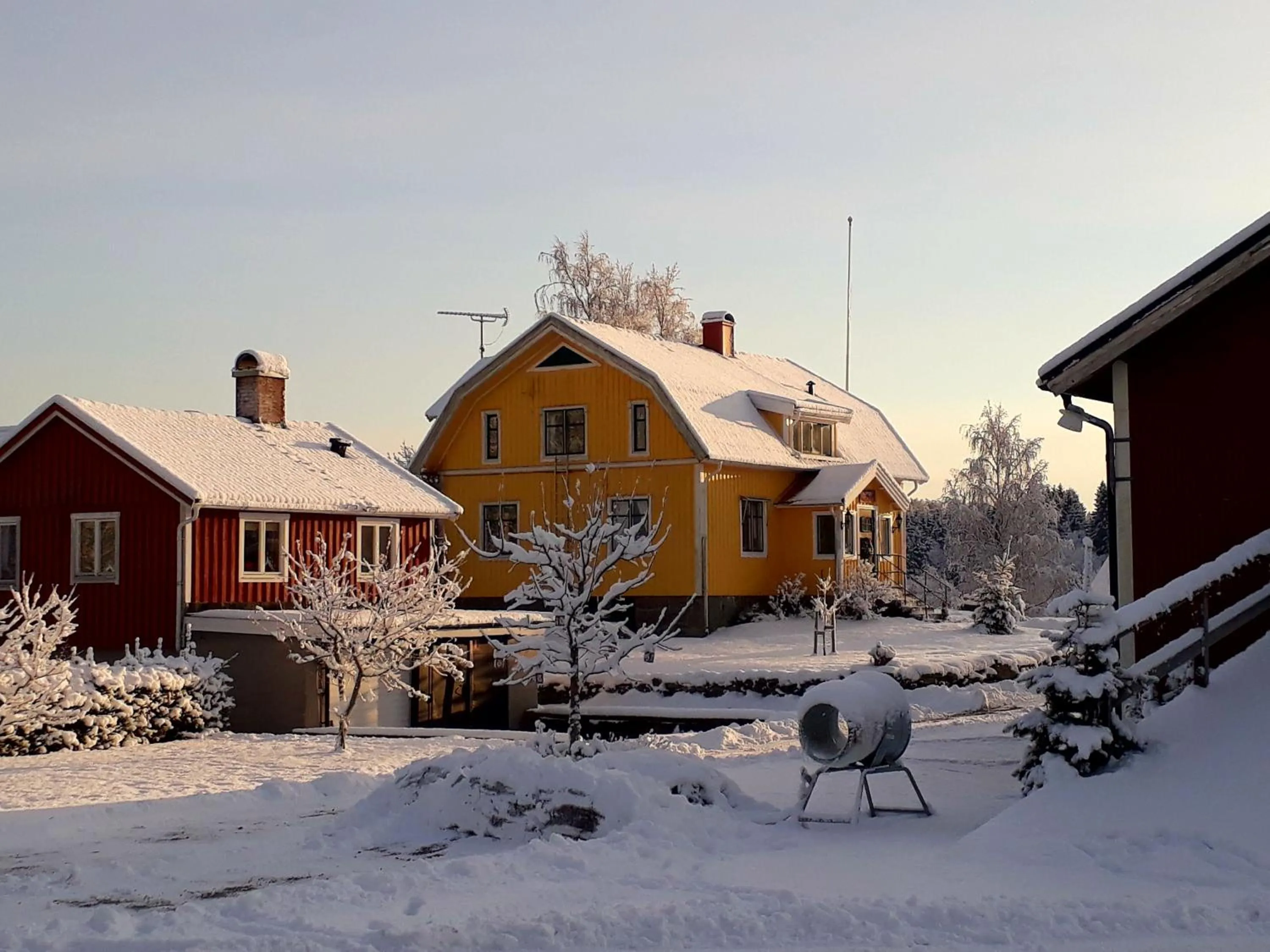 Activities in Älgbergets Bed & Breakfast