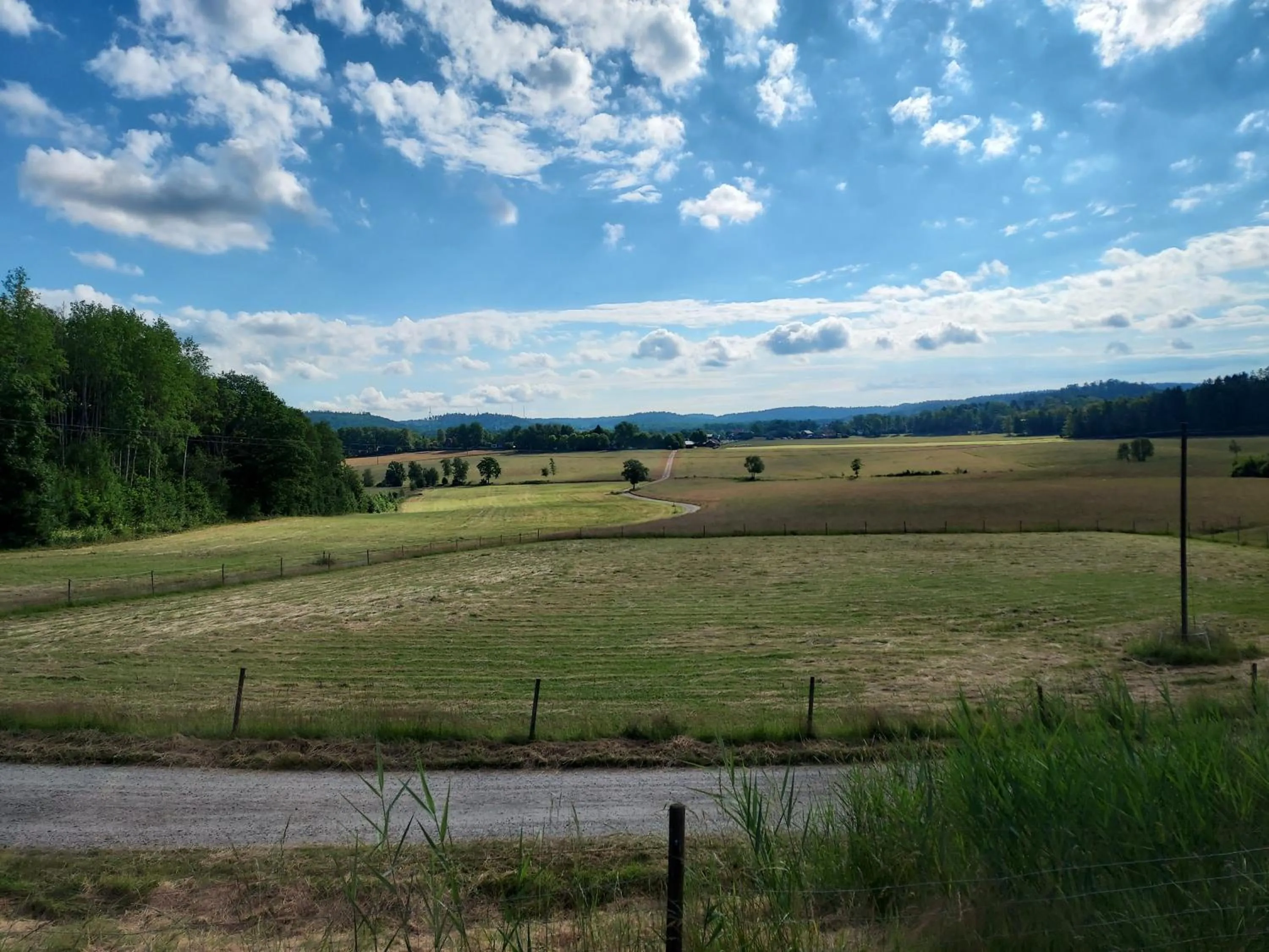 Älgbergets Bed & Breakfast