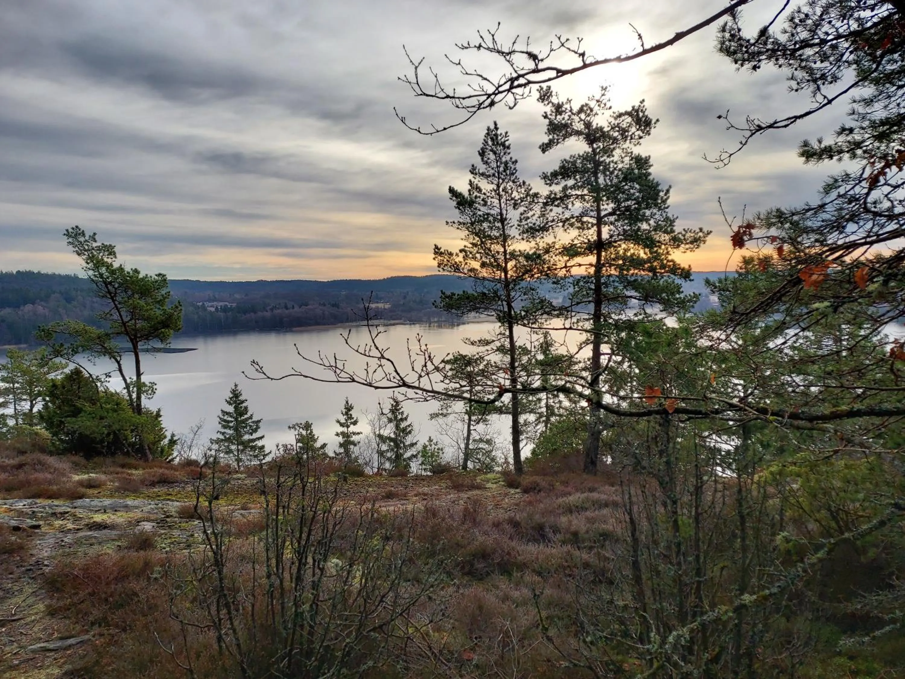 Natural landscape in Älgbergets Bed & Breakfast